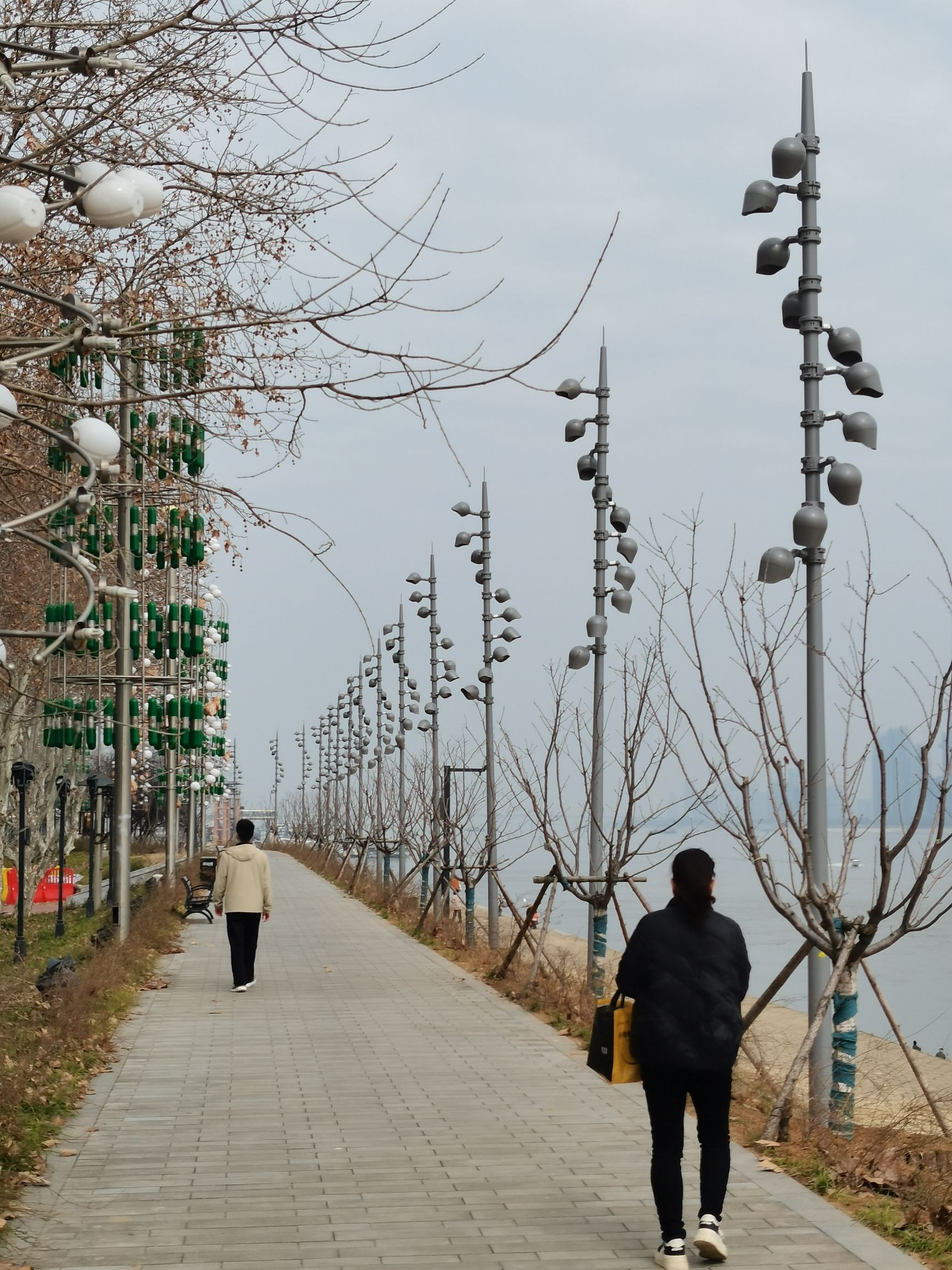 南岸嘴江滩公园旅行图片 1