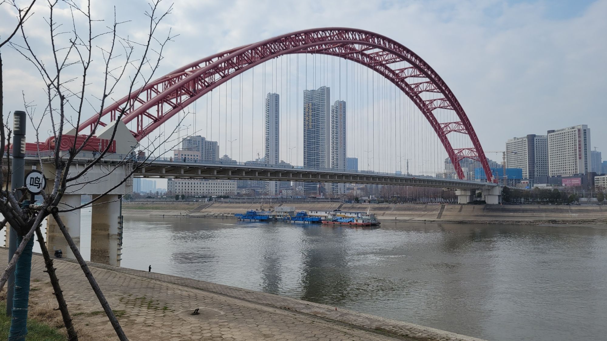南岸嘴江滩公园旅行图片 3