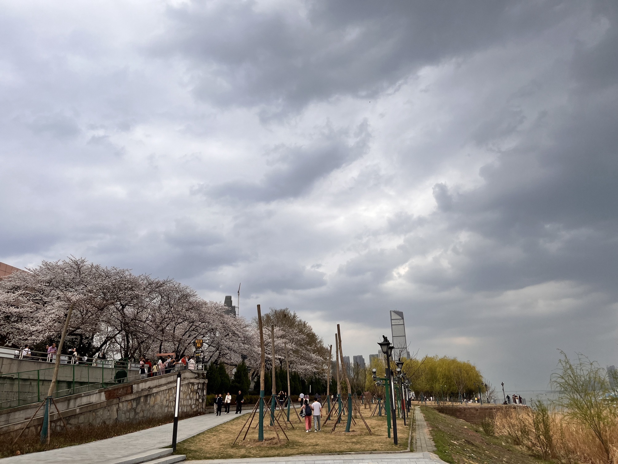 南岸嘴江滩公园旅行图片 2