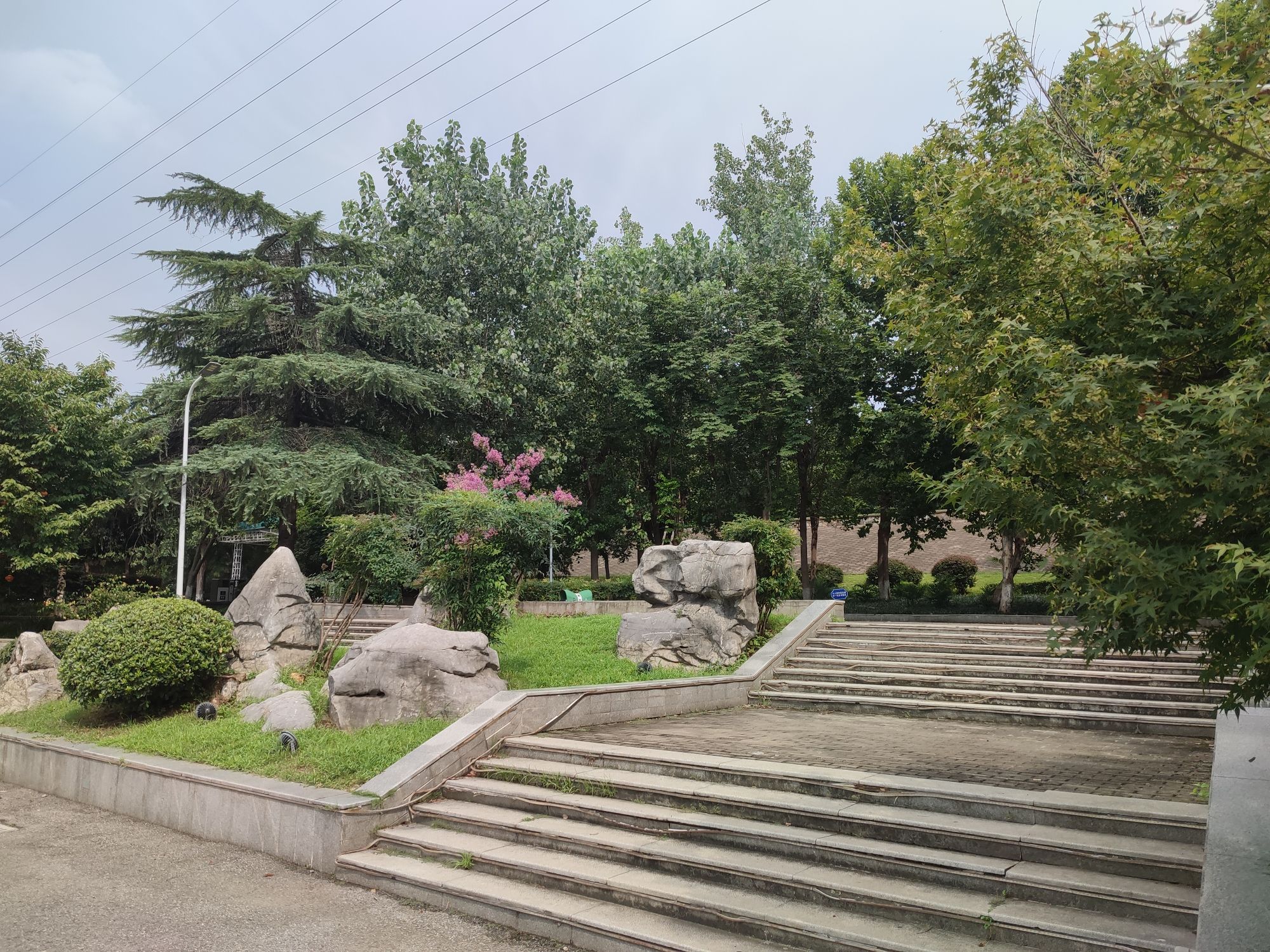 常青花园堤边公园旅行图片 1