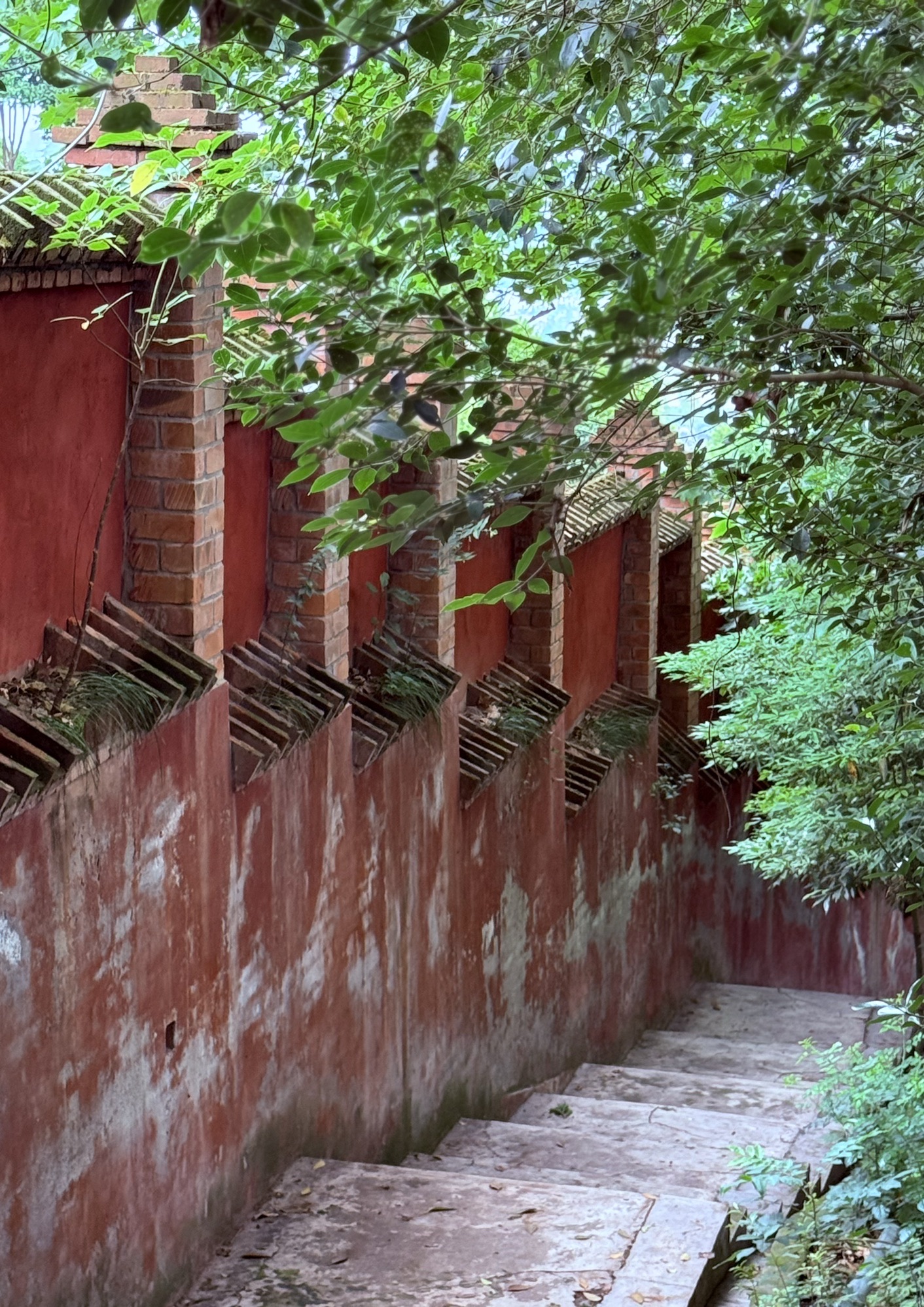白塔湖旅行图片 1