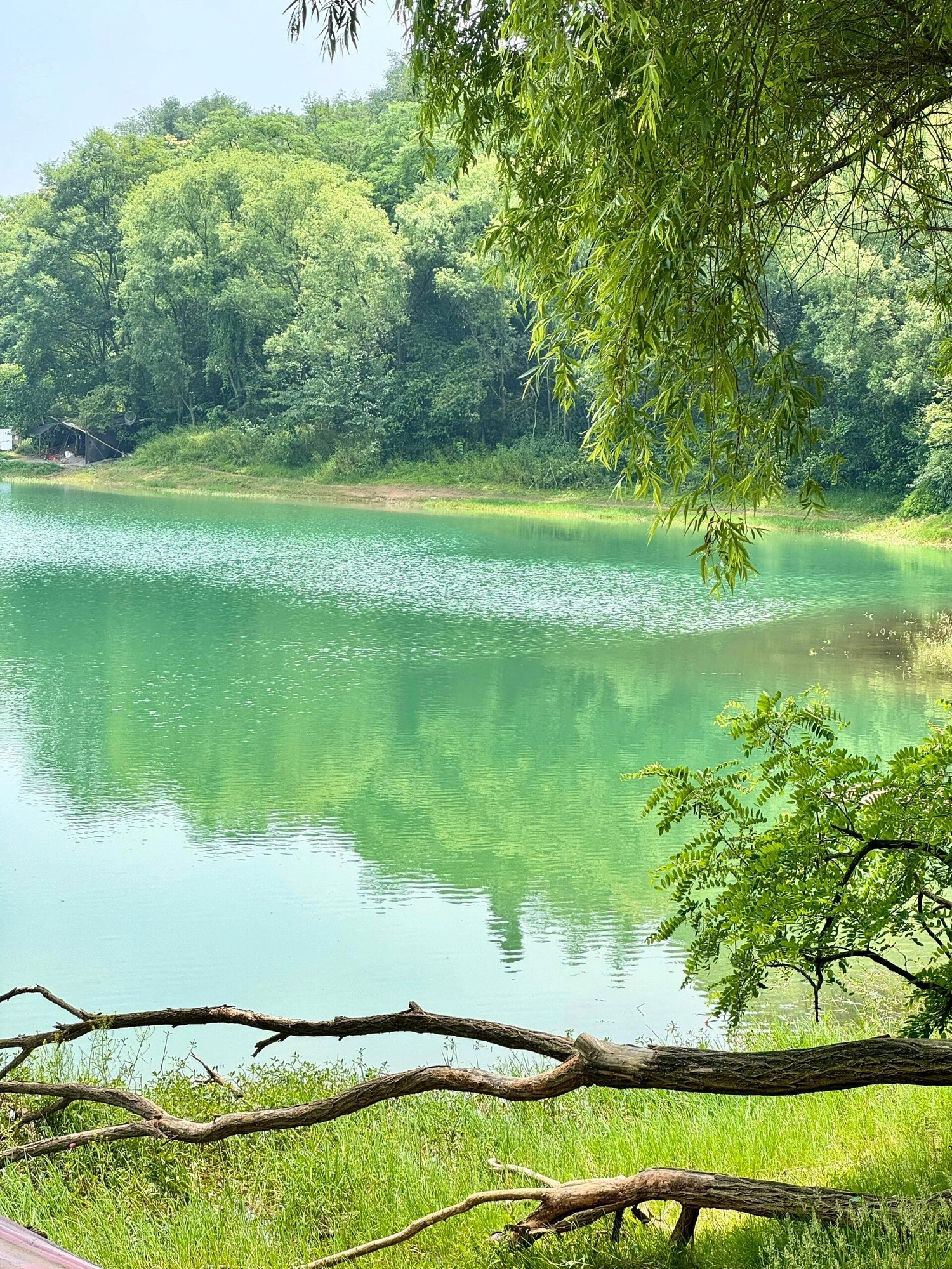白塔湖旅行图片 2