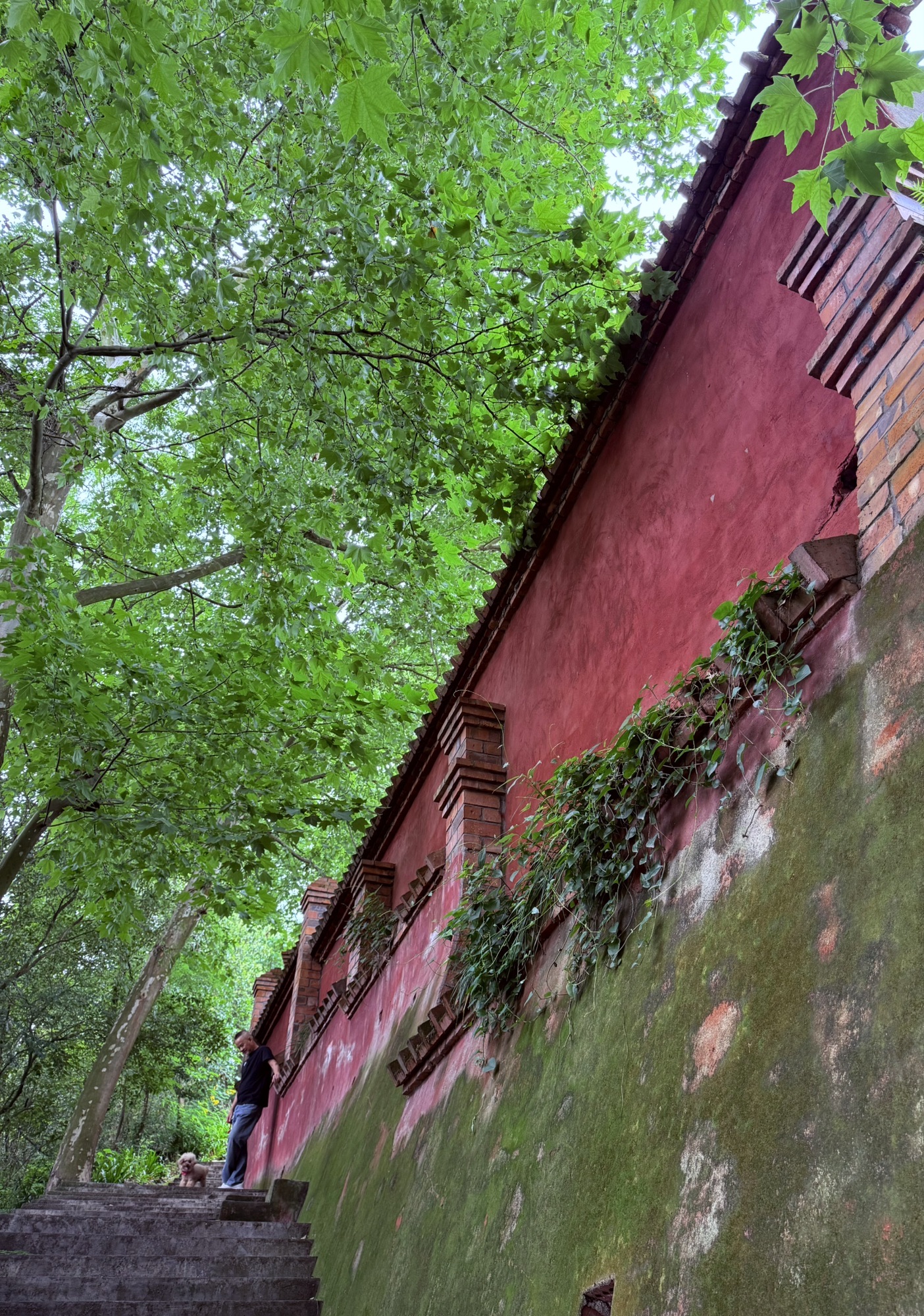 白塔湖旅行图片 2