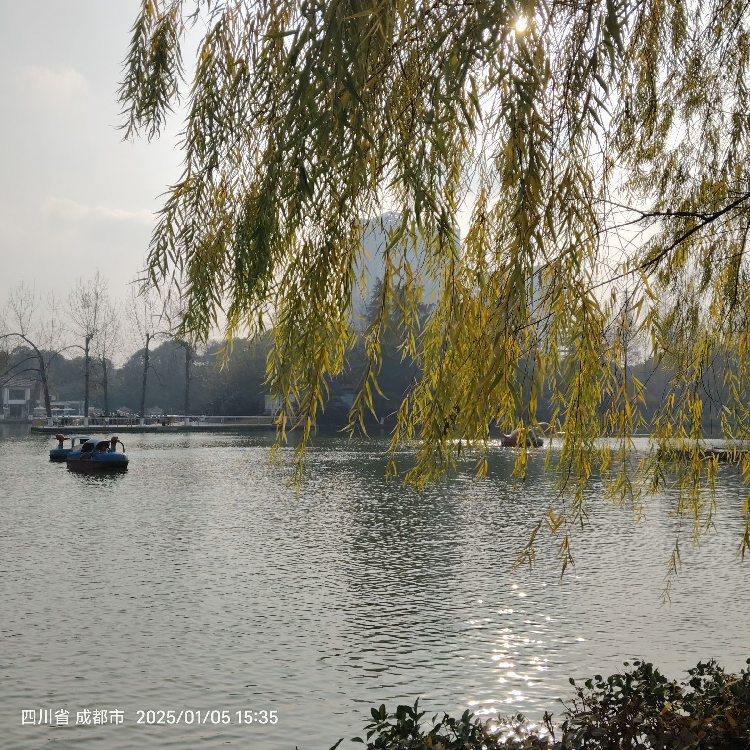 彭州园旅行图片 2