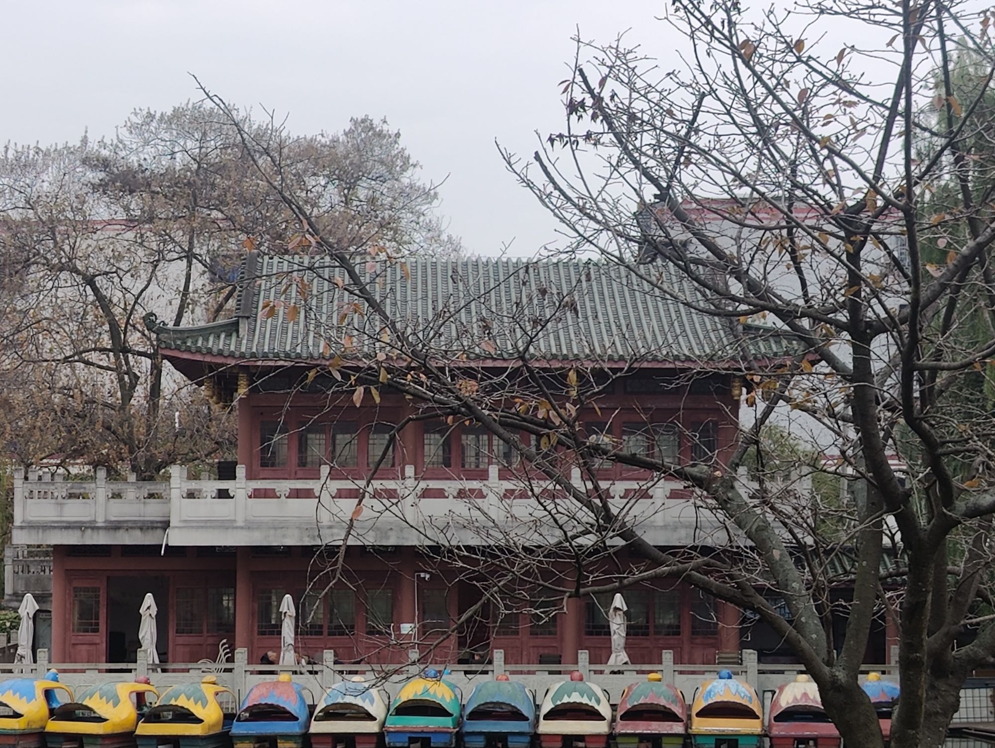彭州园旅行图片 2