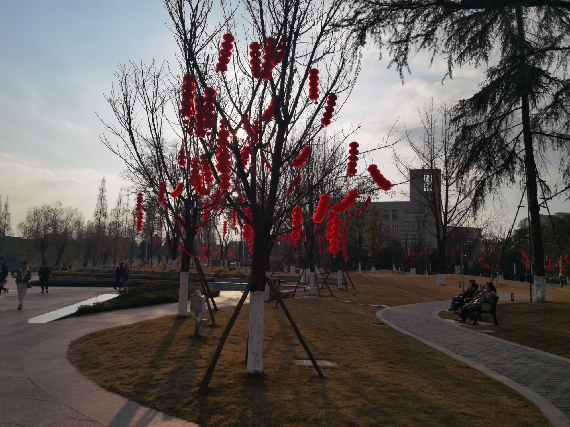 彭州园旅行图片 3