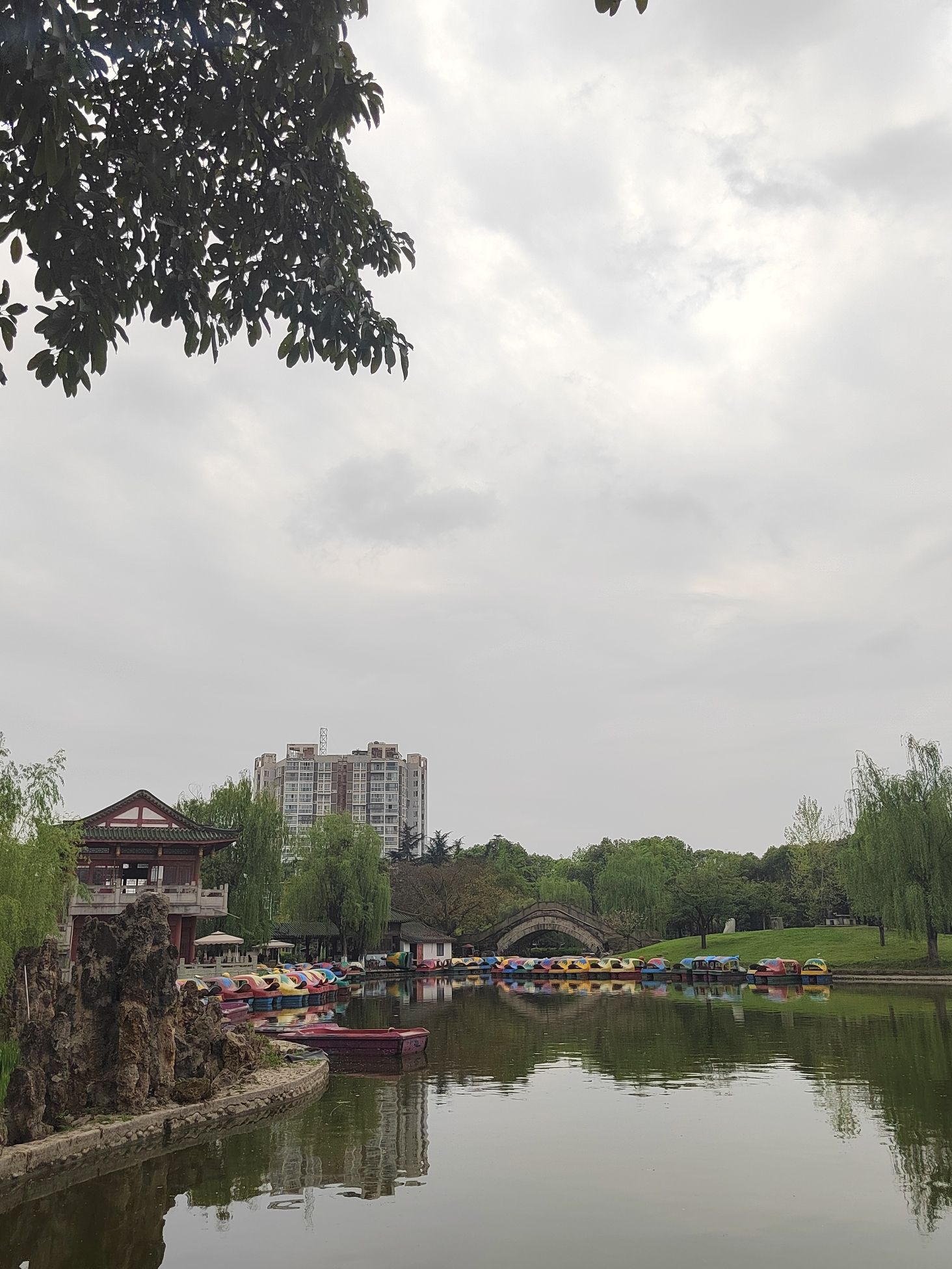 彭州园旅行图片 2