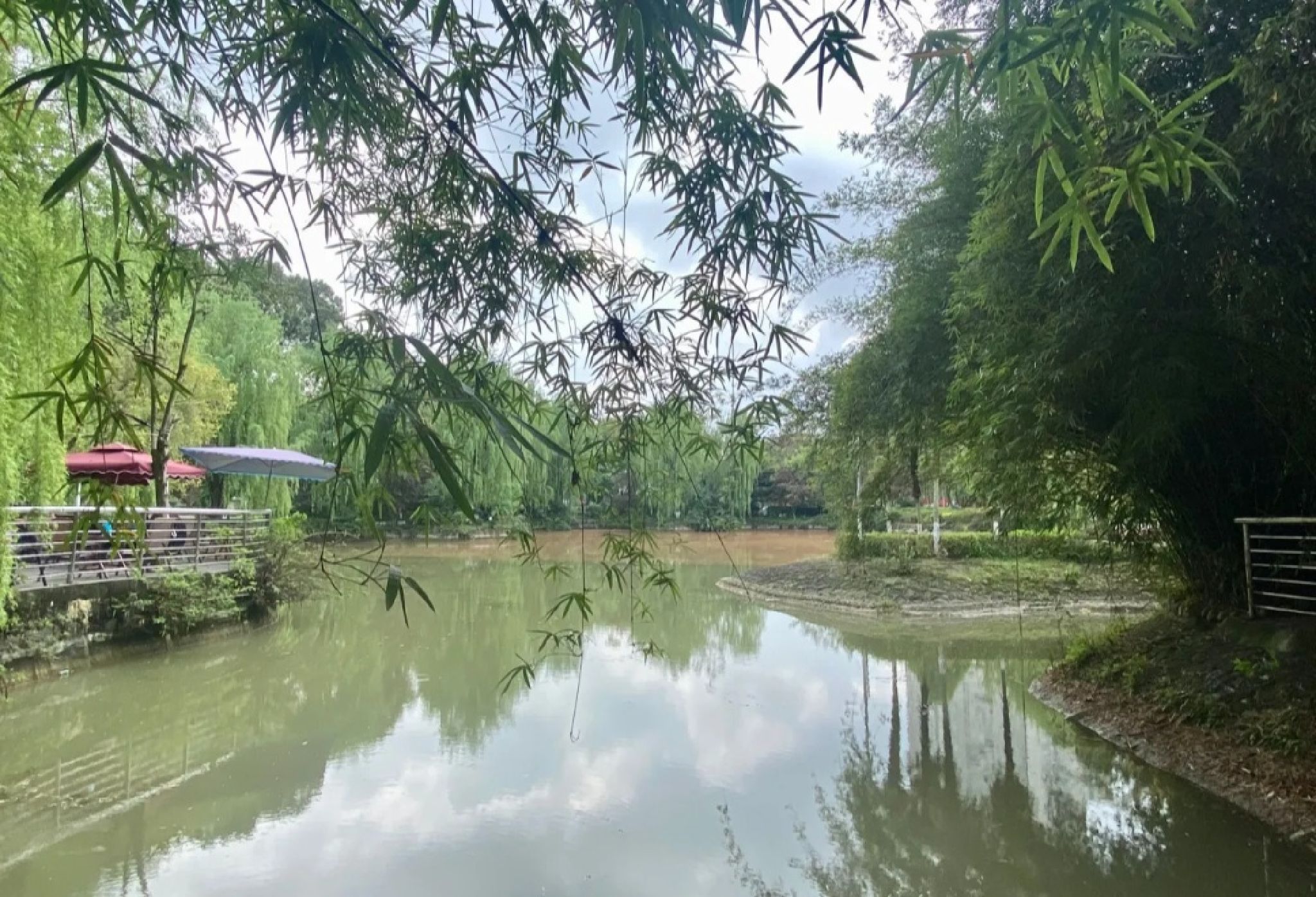 石牛公园旅行图片 1