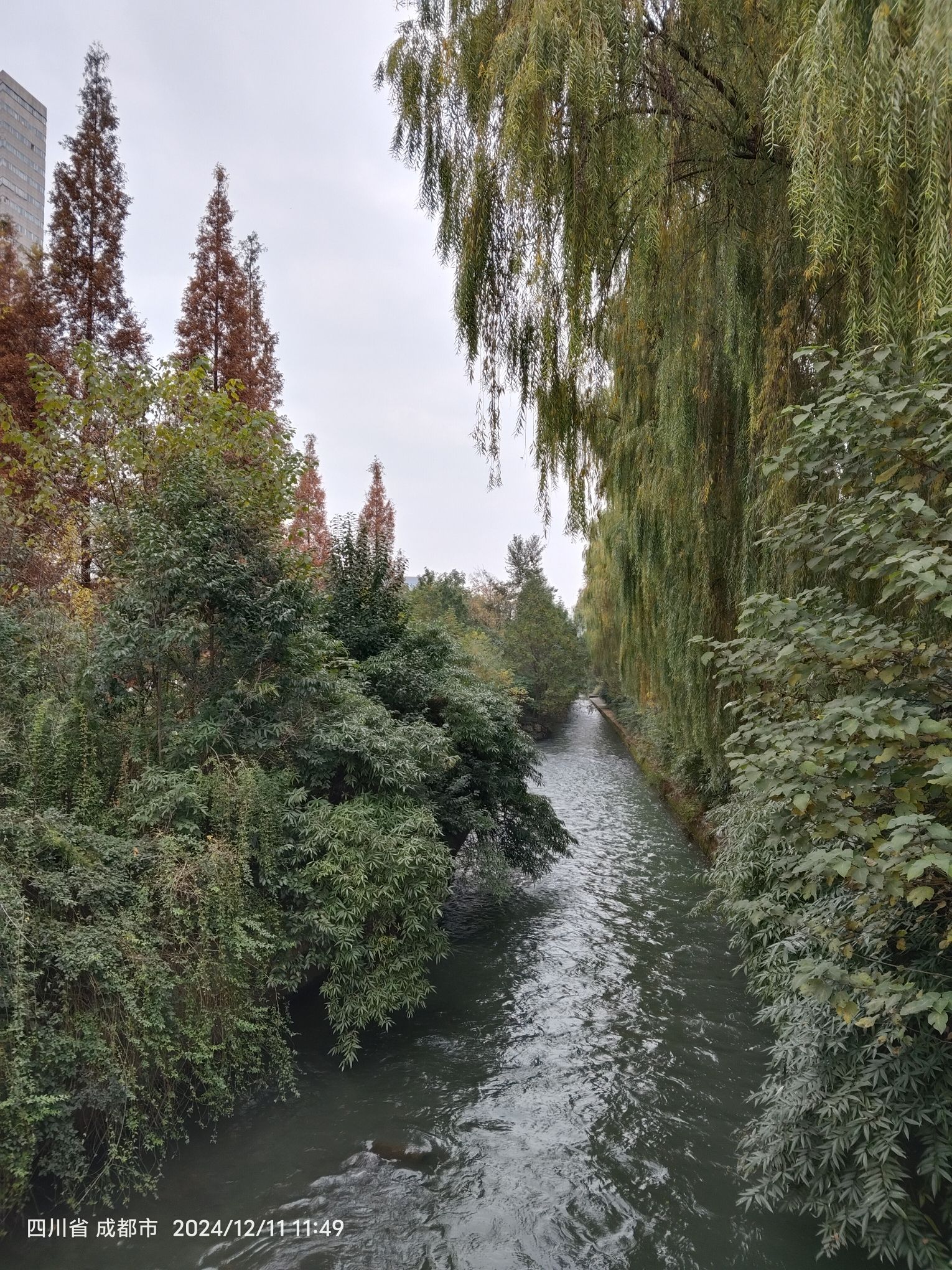 石牛公园旅行图片 3