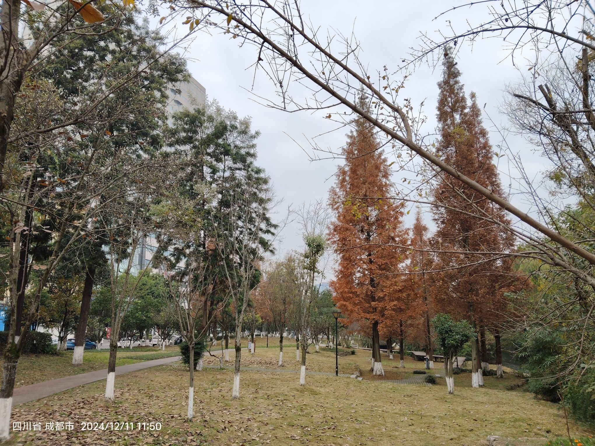 石牛公园旅行图片 2