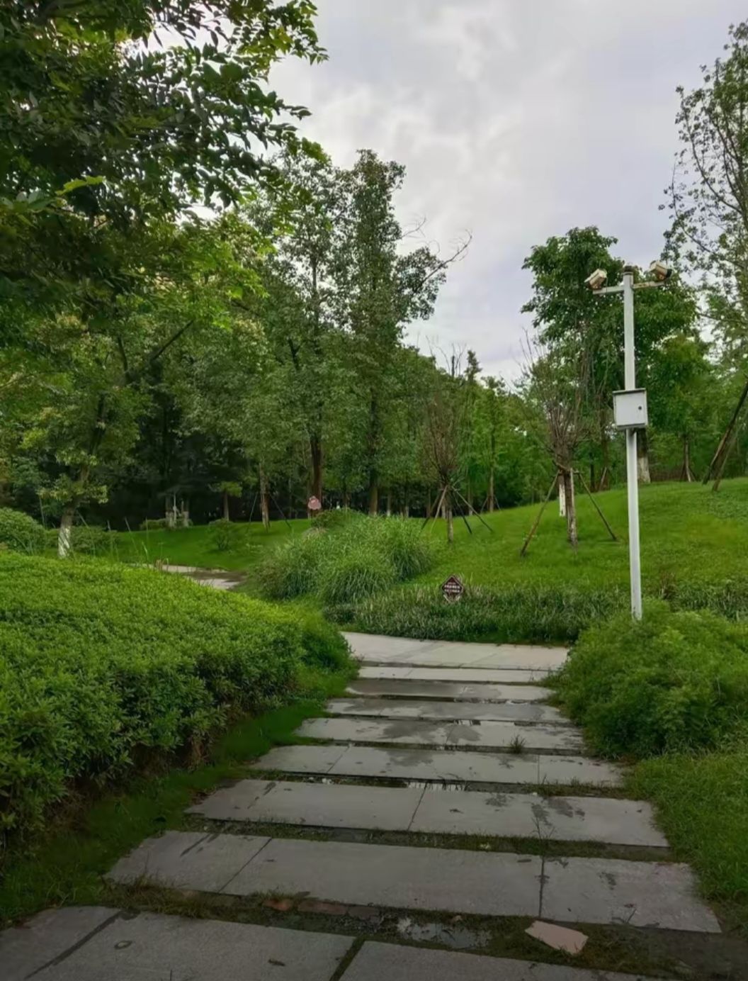 石牛公园旅行图片 1