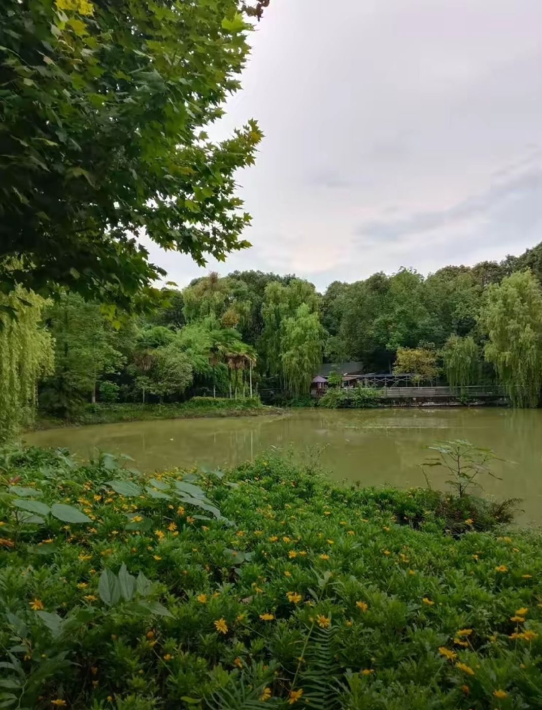 石牛公园旅行图片 2