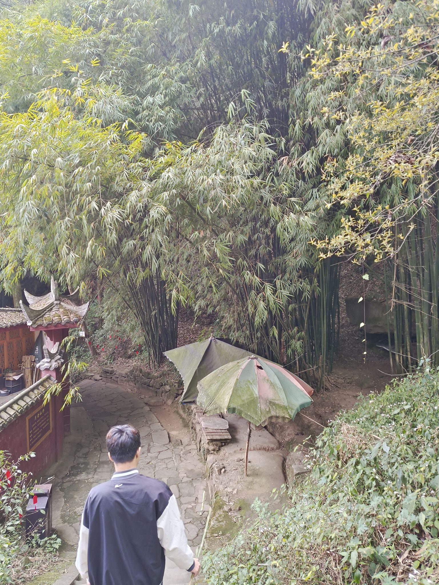 丹景山旅行图片 2