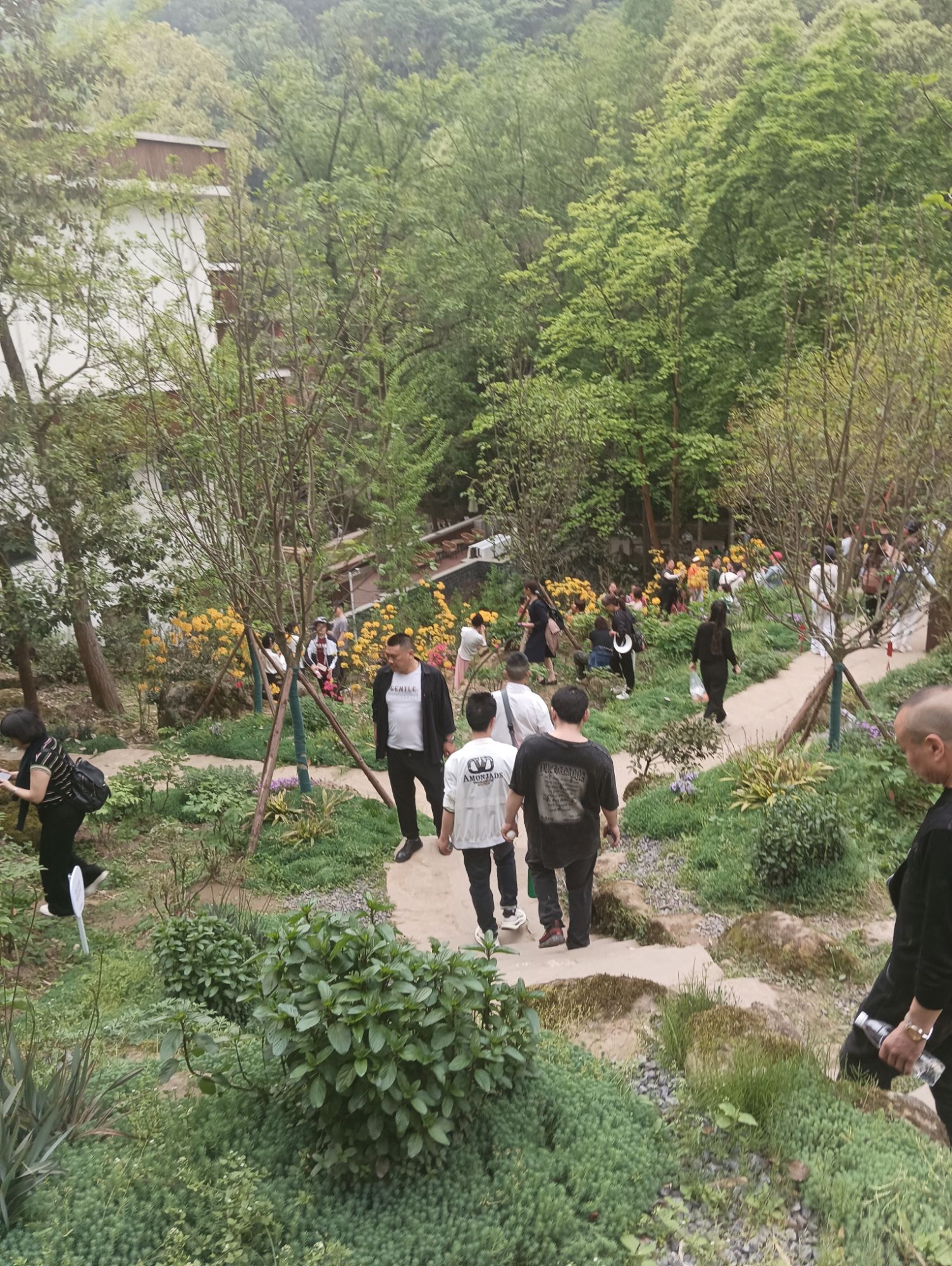 丹景山旅行图片 1