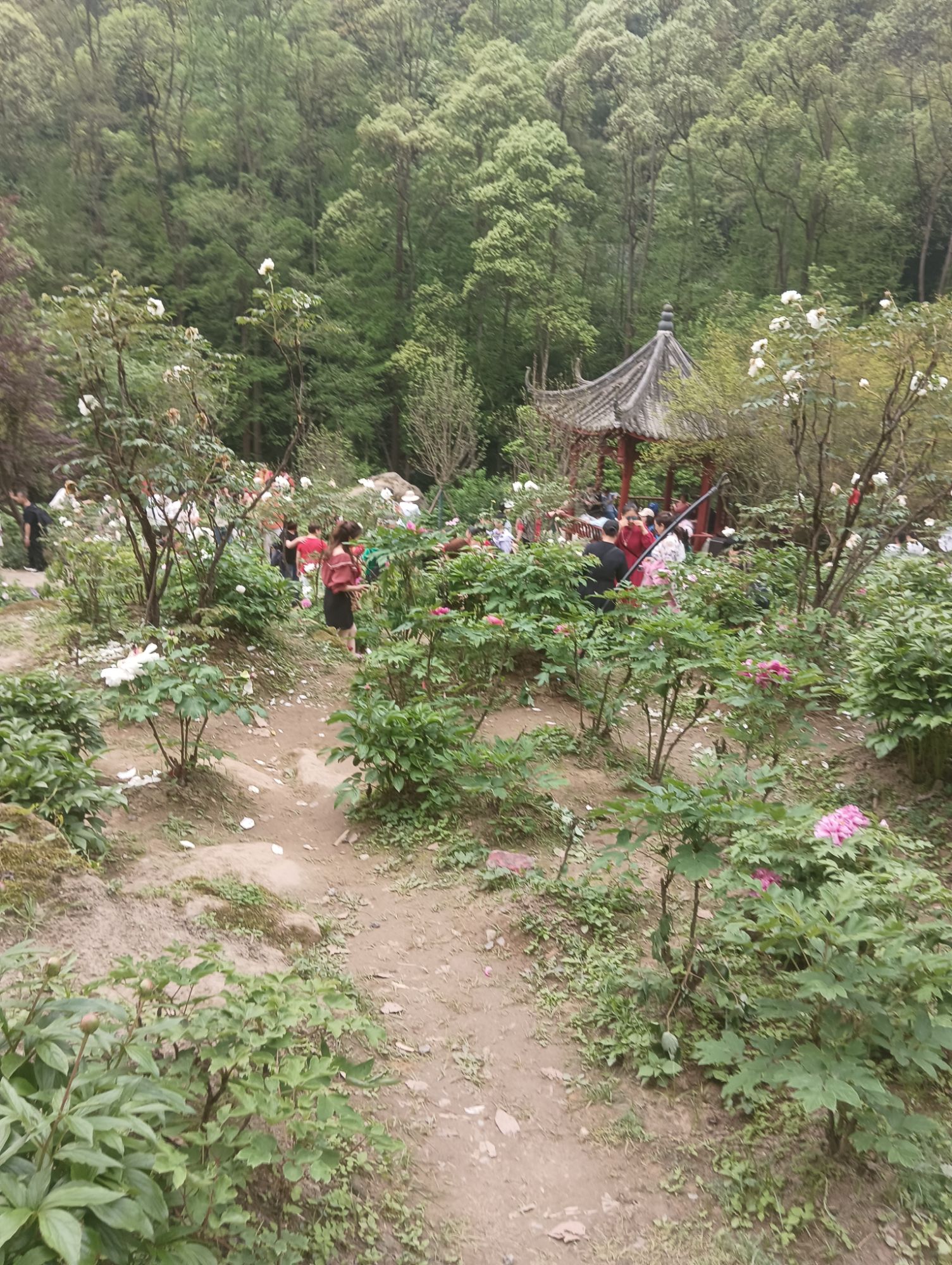 丹景山旅行图片 2