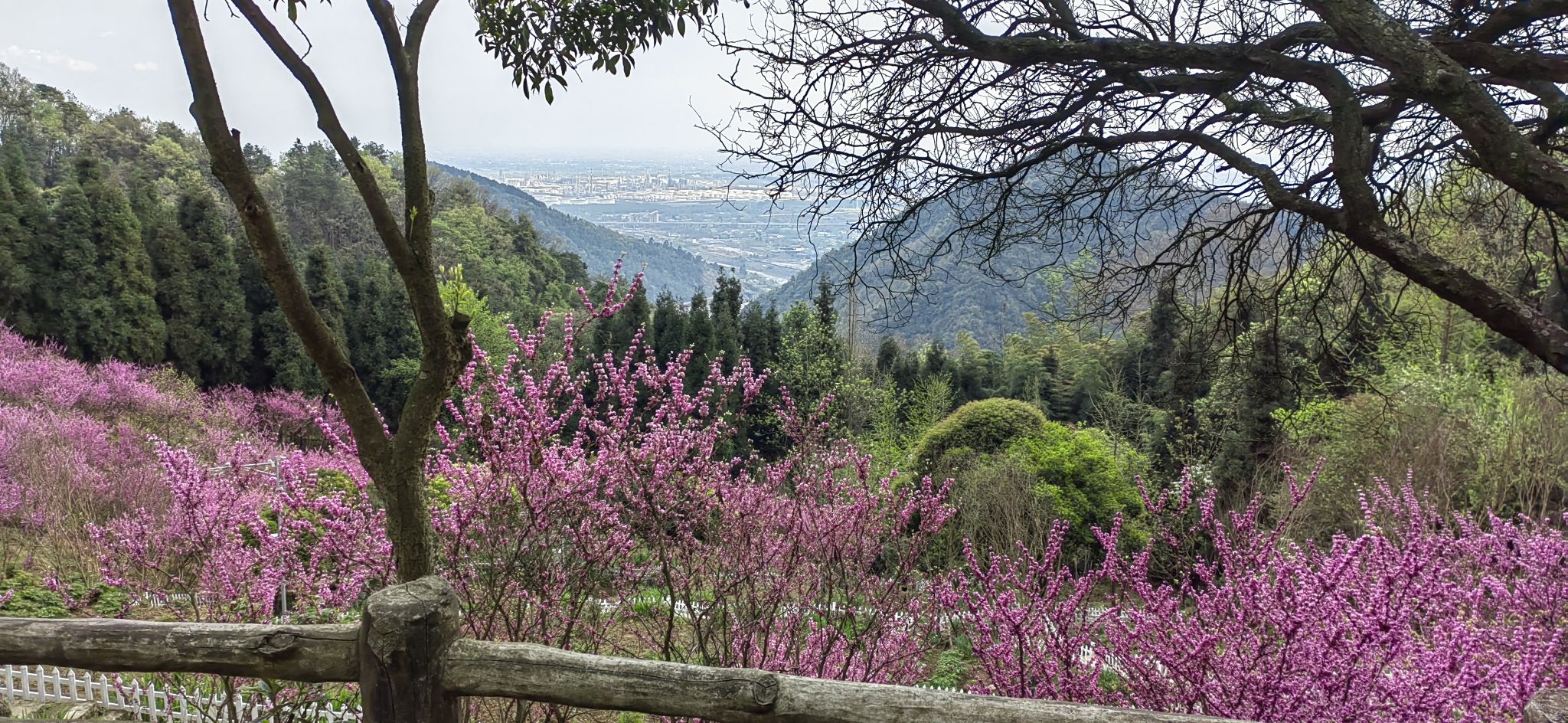 丹景山旅行图片 3