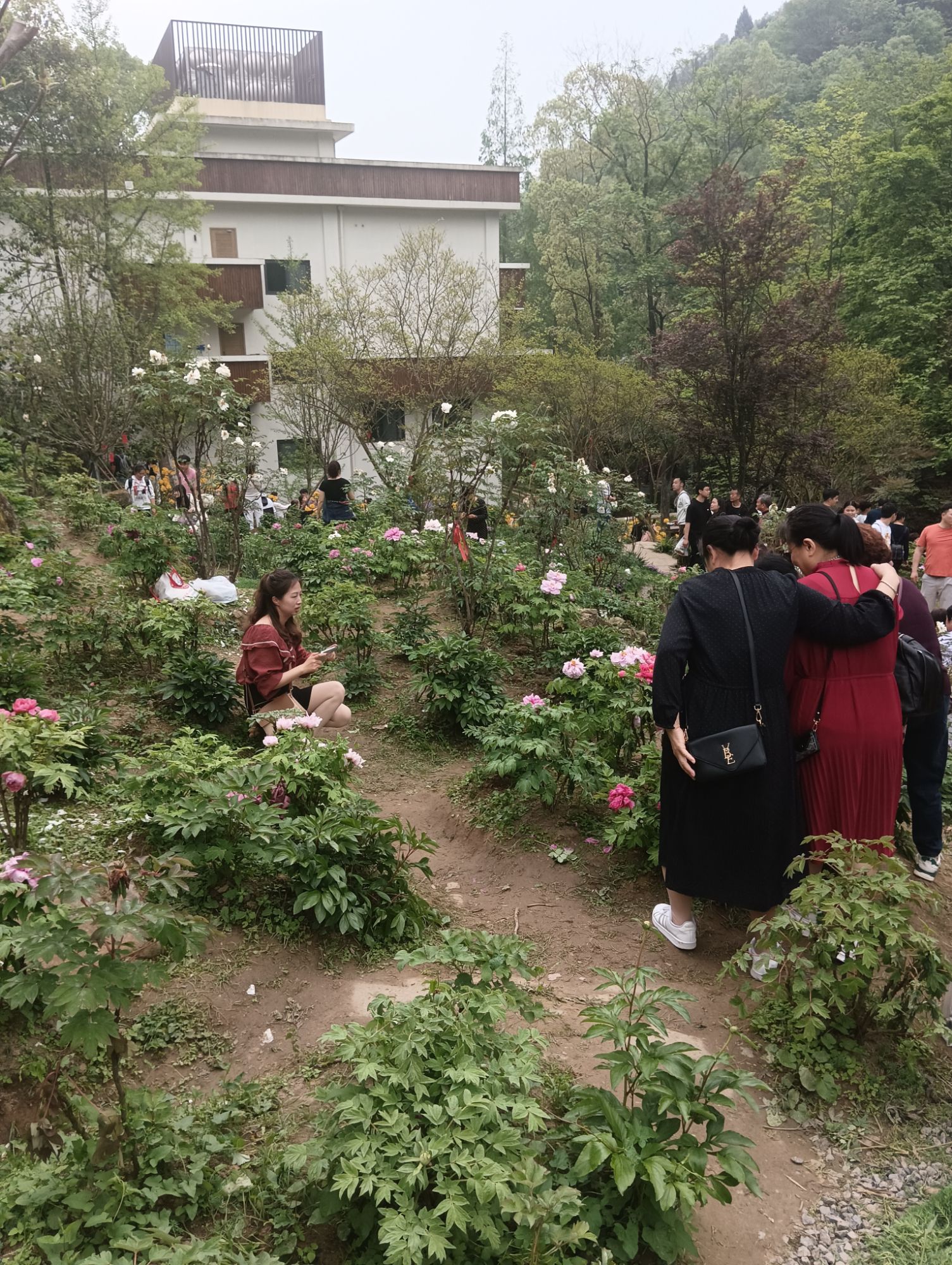 丹景山旅行图片 3