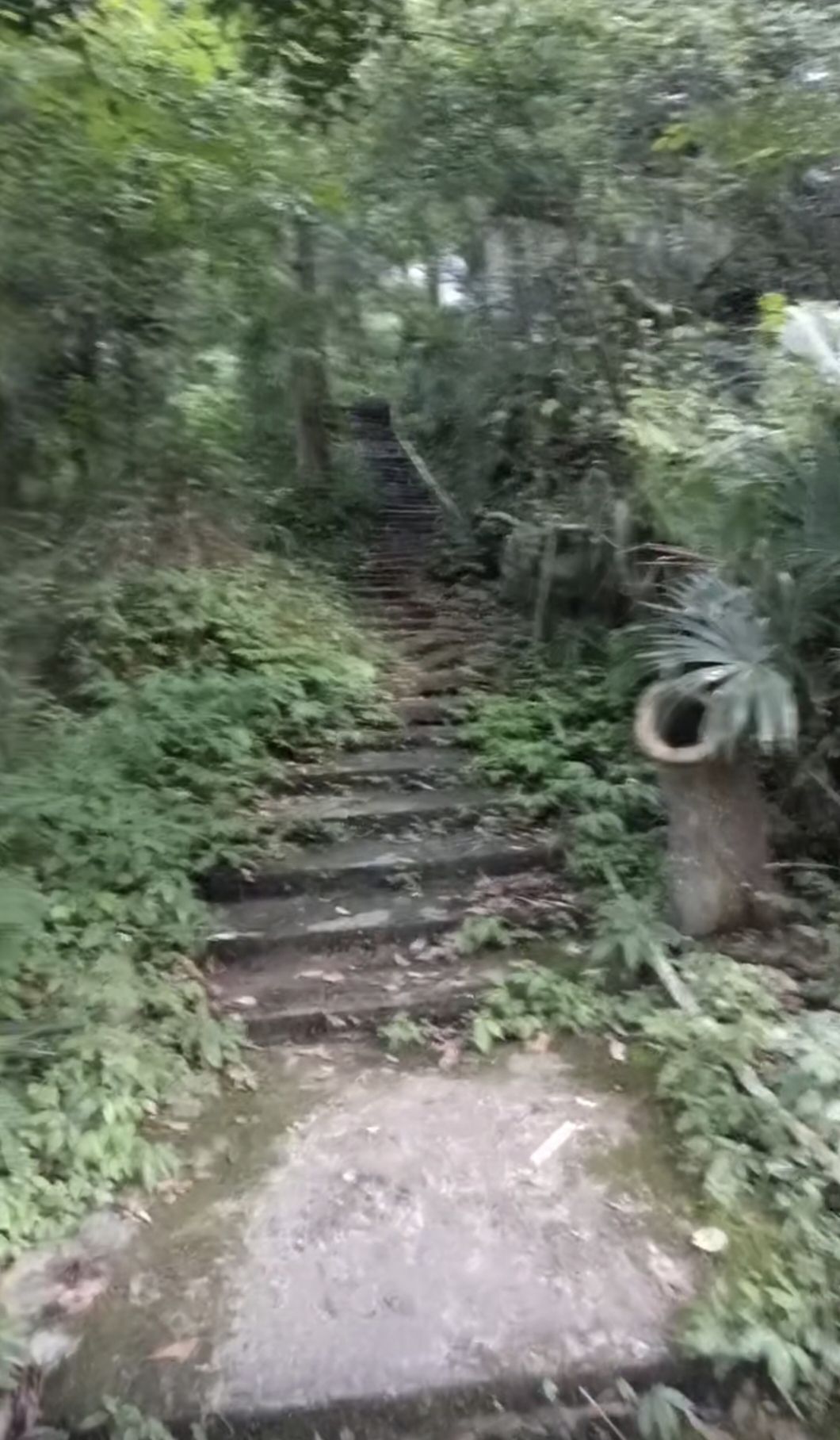 九龙沟旅行图片 2