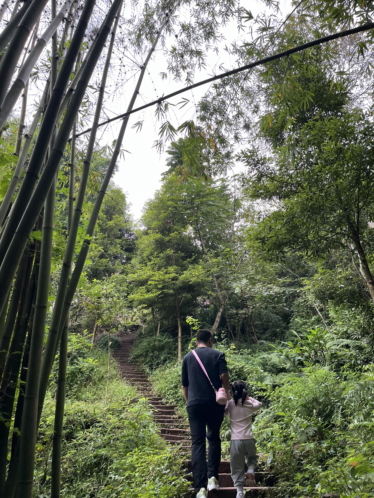 九龙沟旅行图片 1
