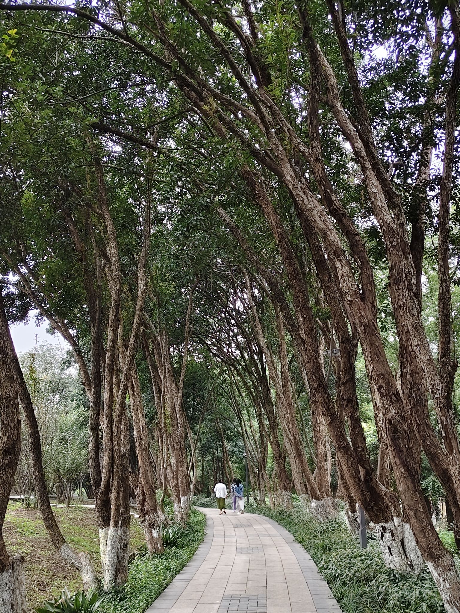 成都植物园旅行图片 1