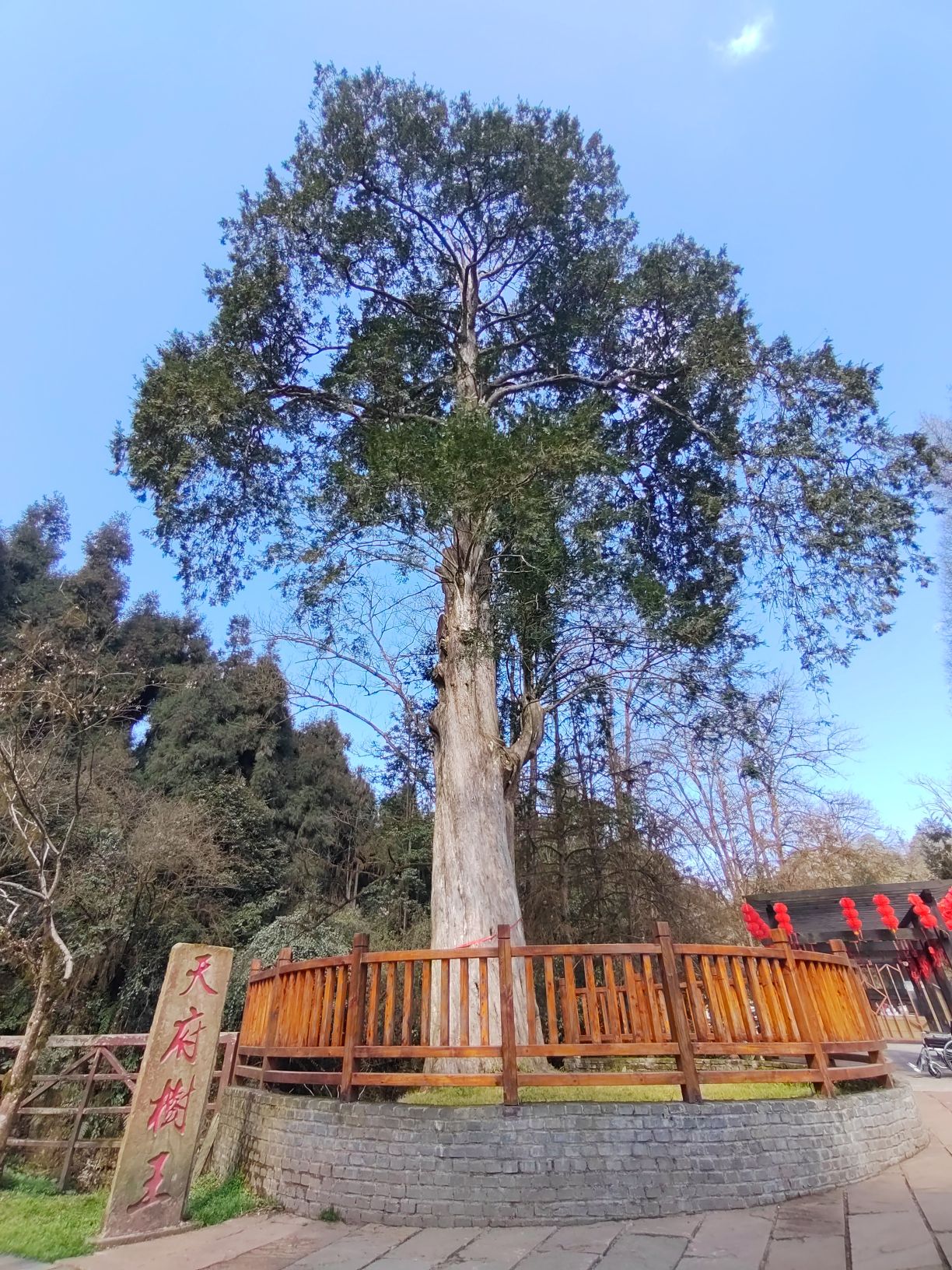 成都天台山旅游景区旅行图片 3