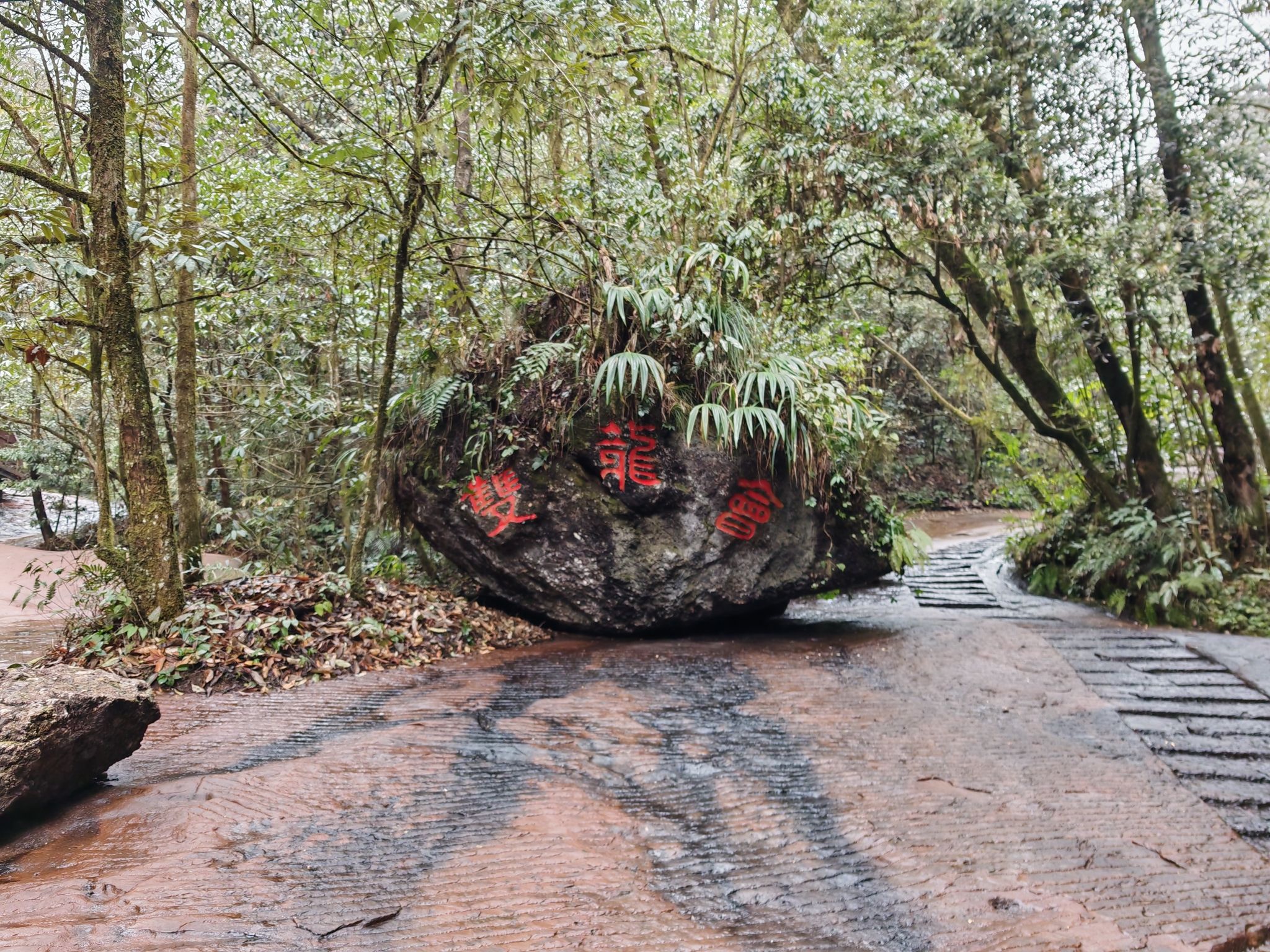 成都天台山旅游景区旅行图片 2