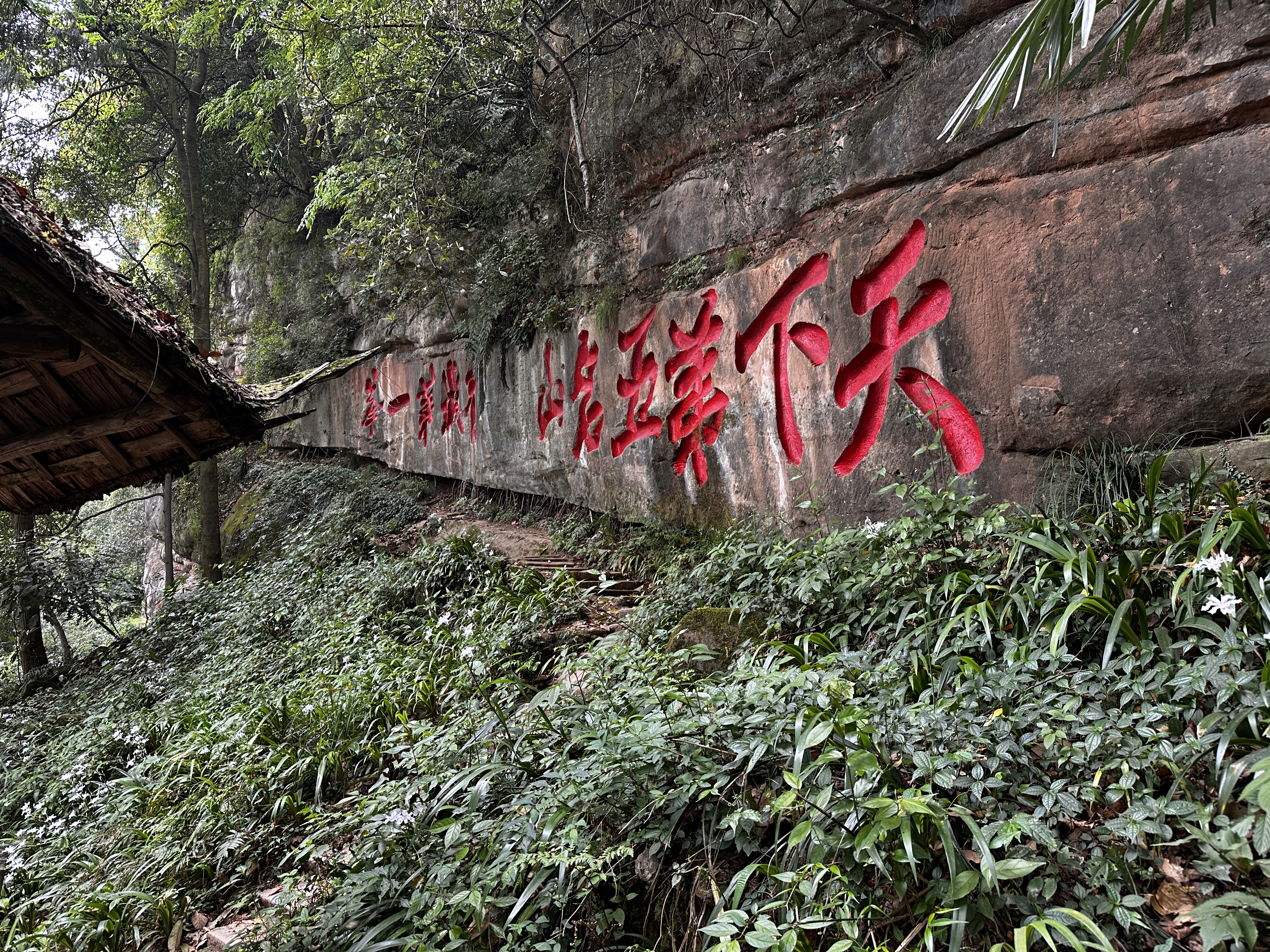 青城山景区旅行图片 2