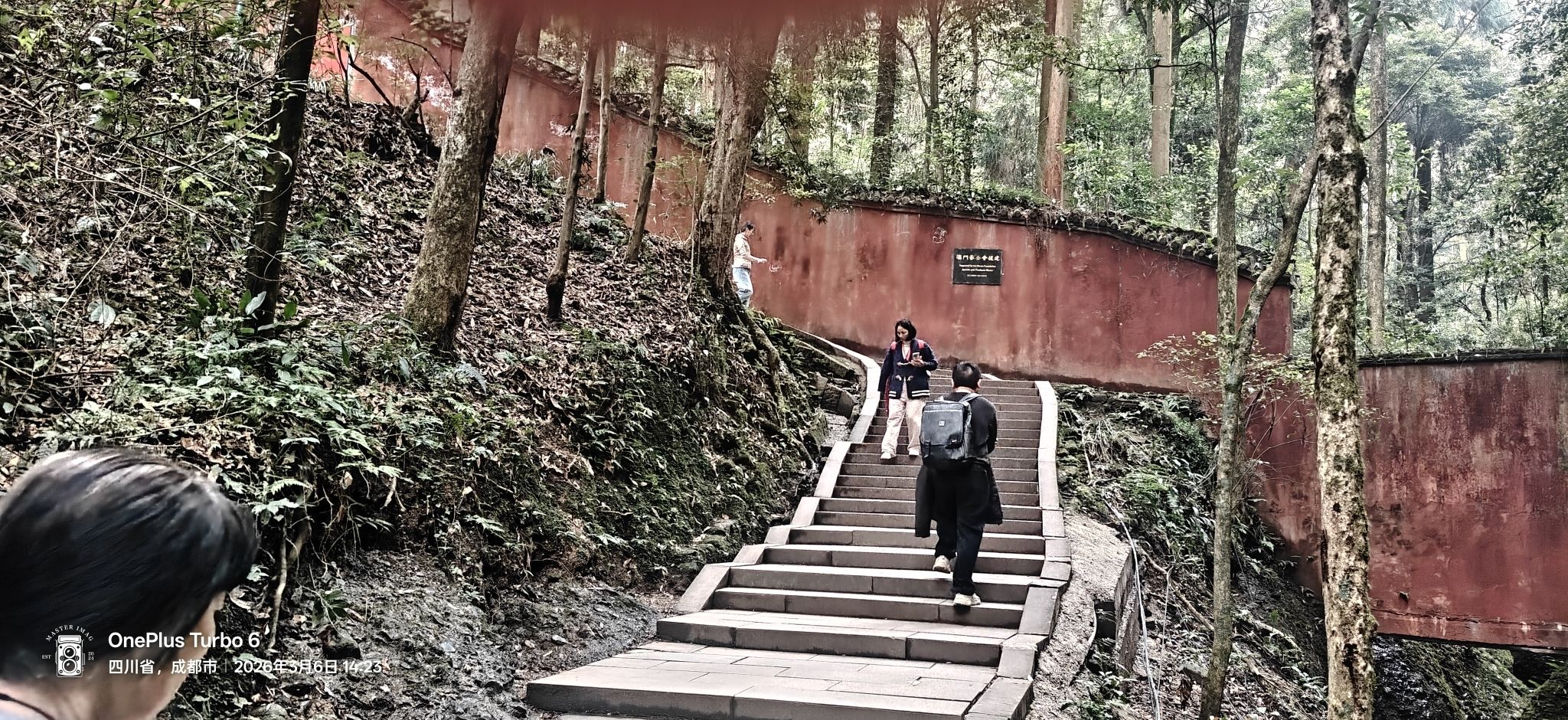 青城山景区旅行图片 3