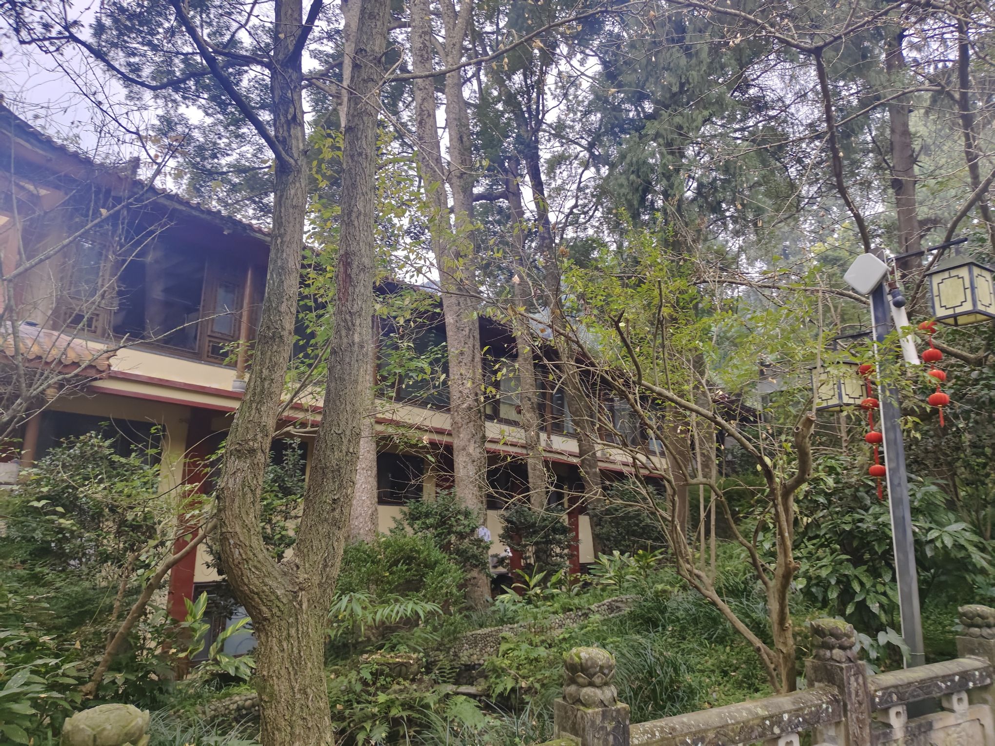 青城山景区旅行图片 3