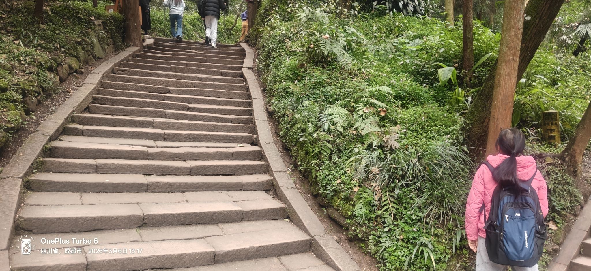 青城山景区旅行图片 2