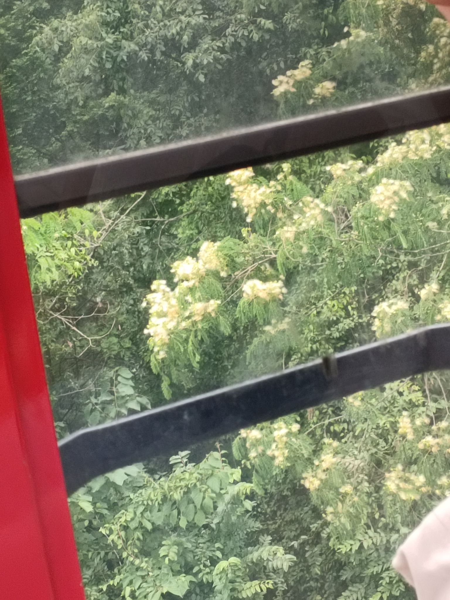 青城山景区旅行图片 3