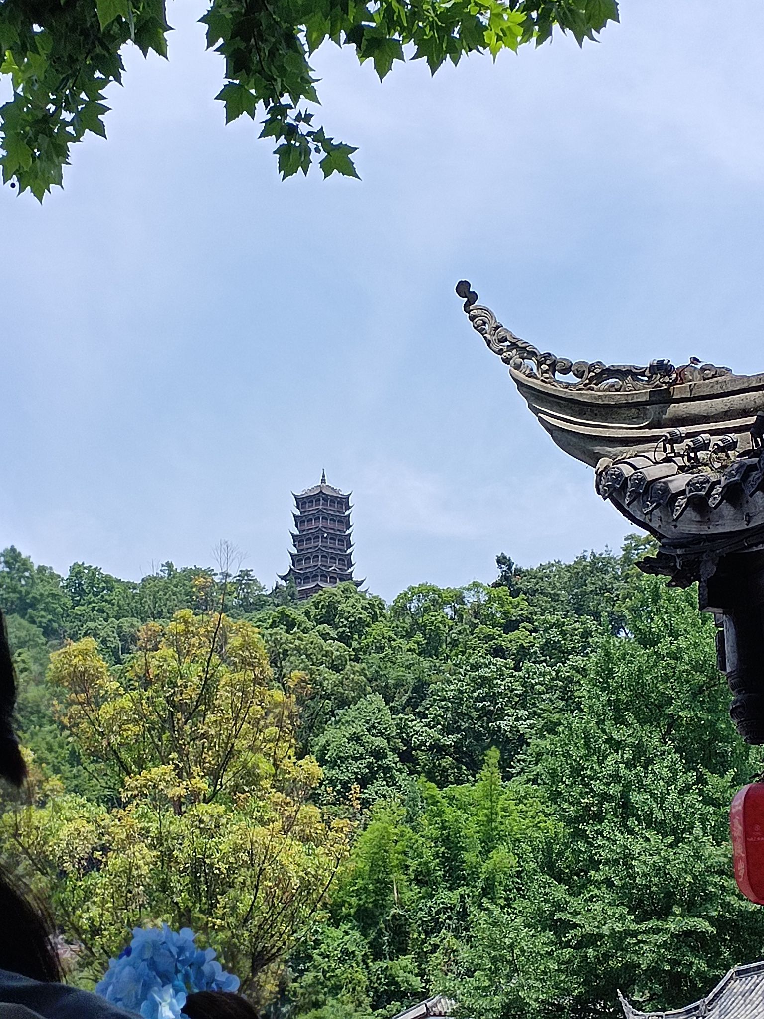 青城山景区旅行图片 1