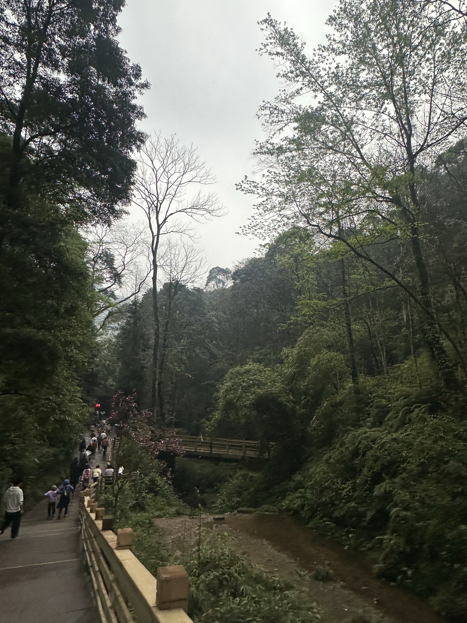 青城山景区旅行图片 1