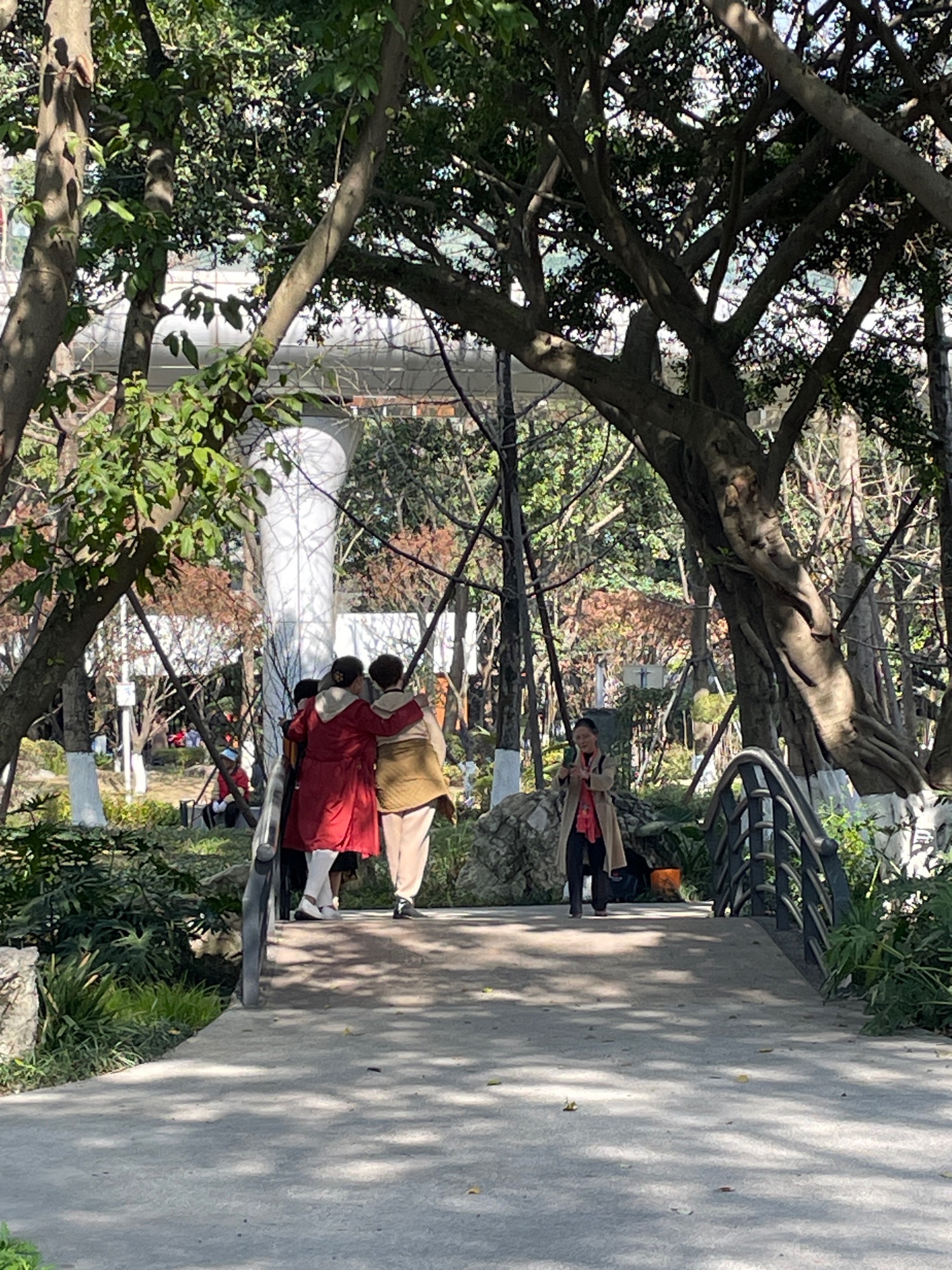 金牛公园旅行图片 2