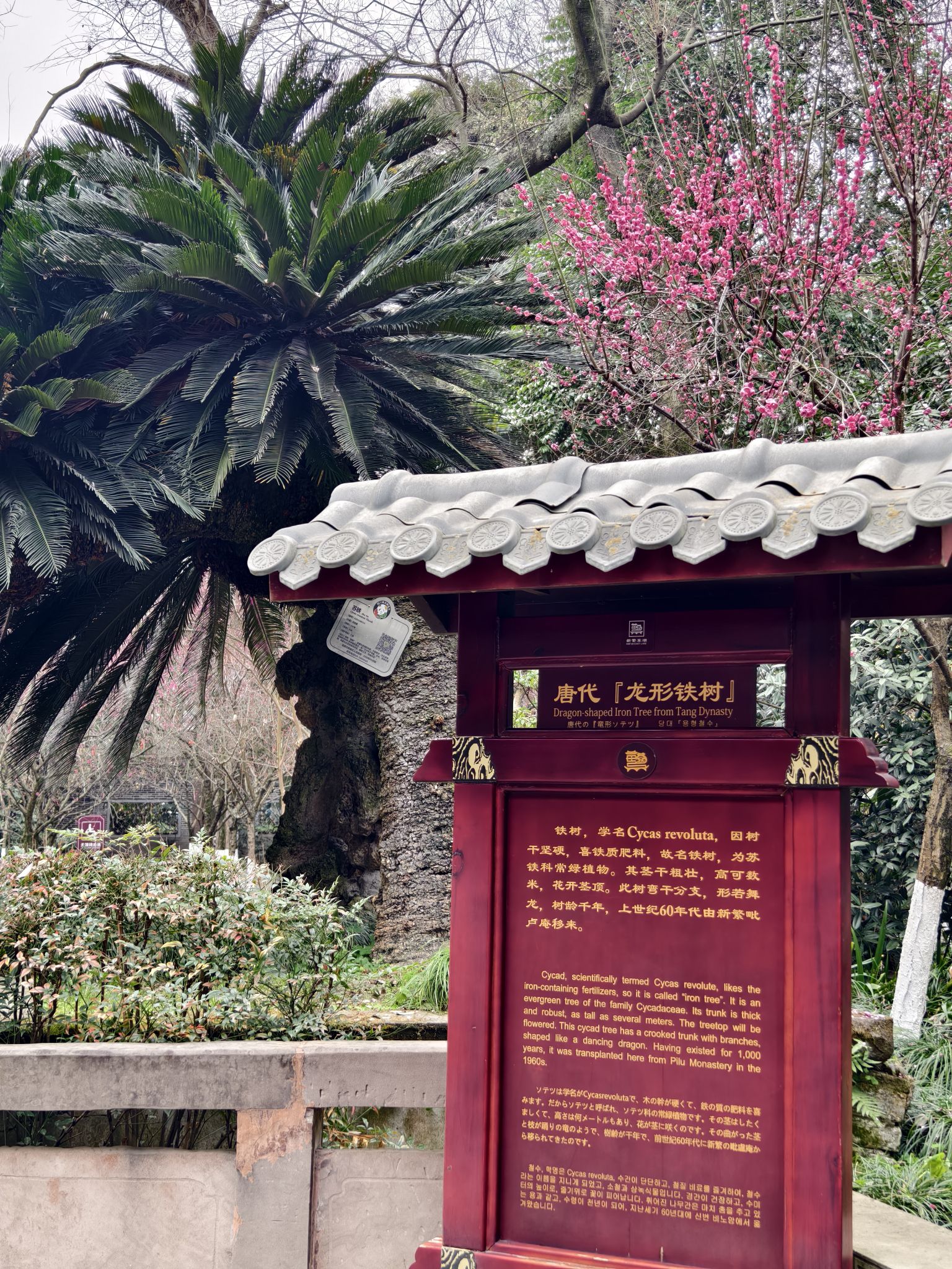 新繁东湖景区旅行图片 2