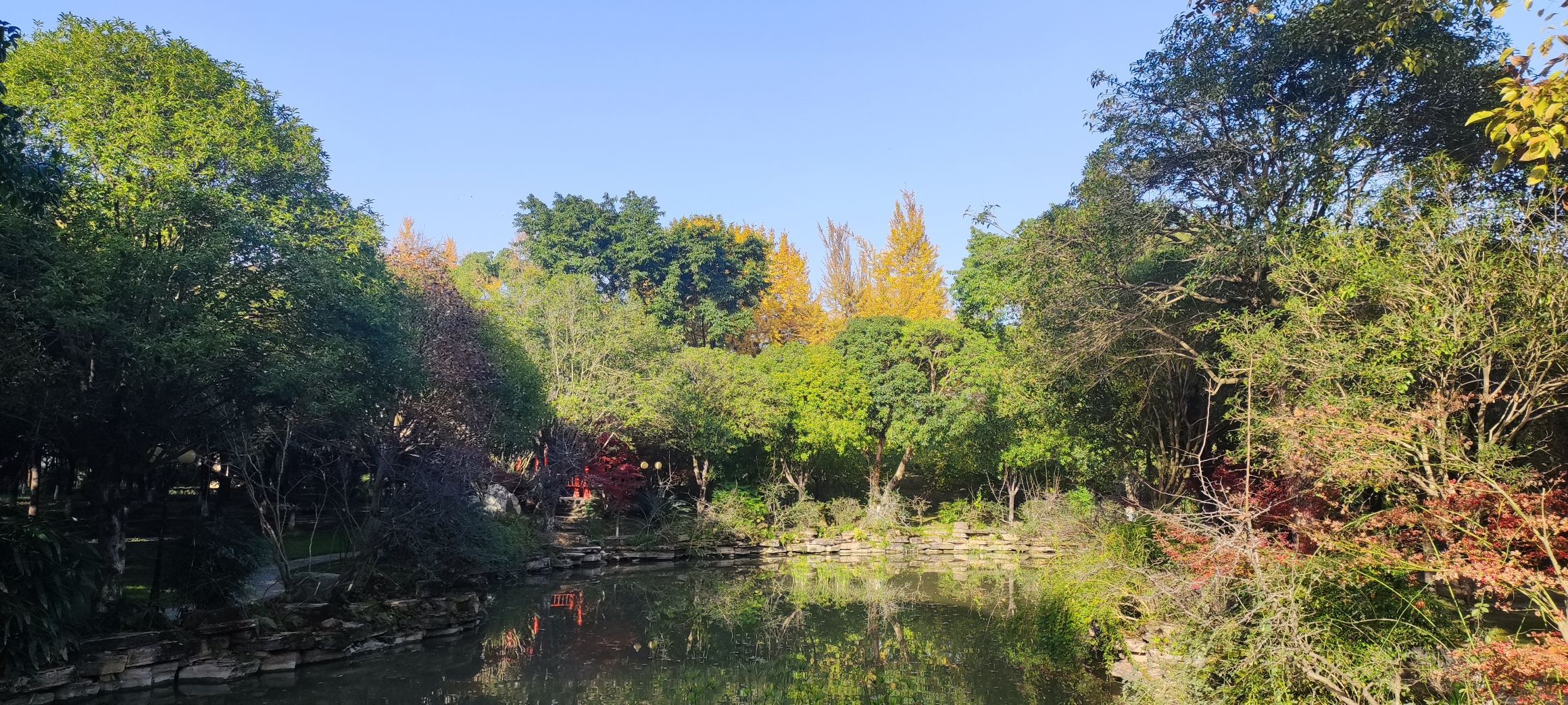 场地封面-两河城市森林淳枫园