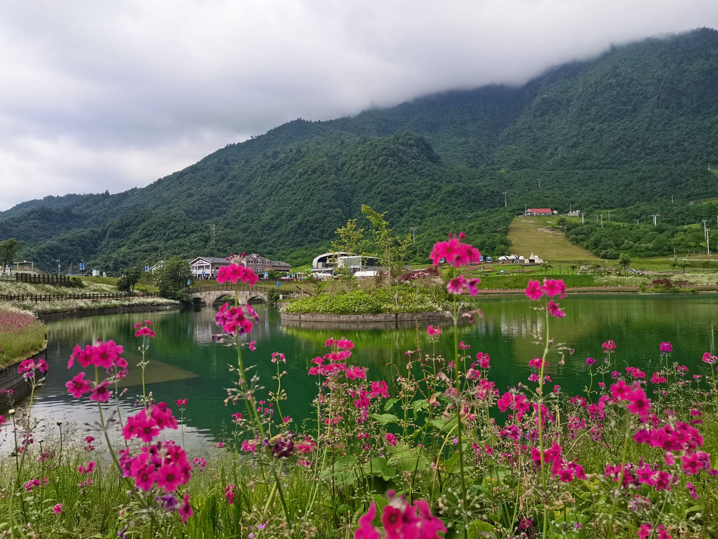 西岭雪山风景名胜区旅行图片 2