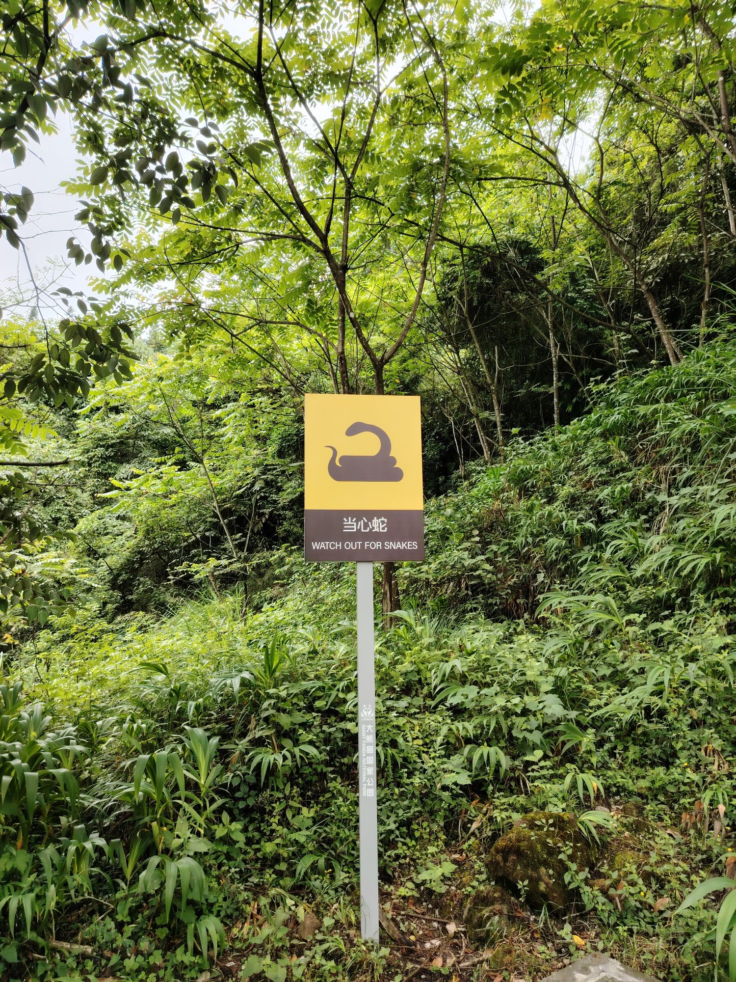 西岭雪山风景名胜区旅行图片 2