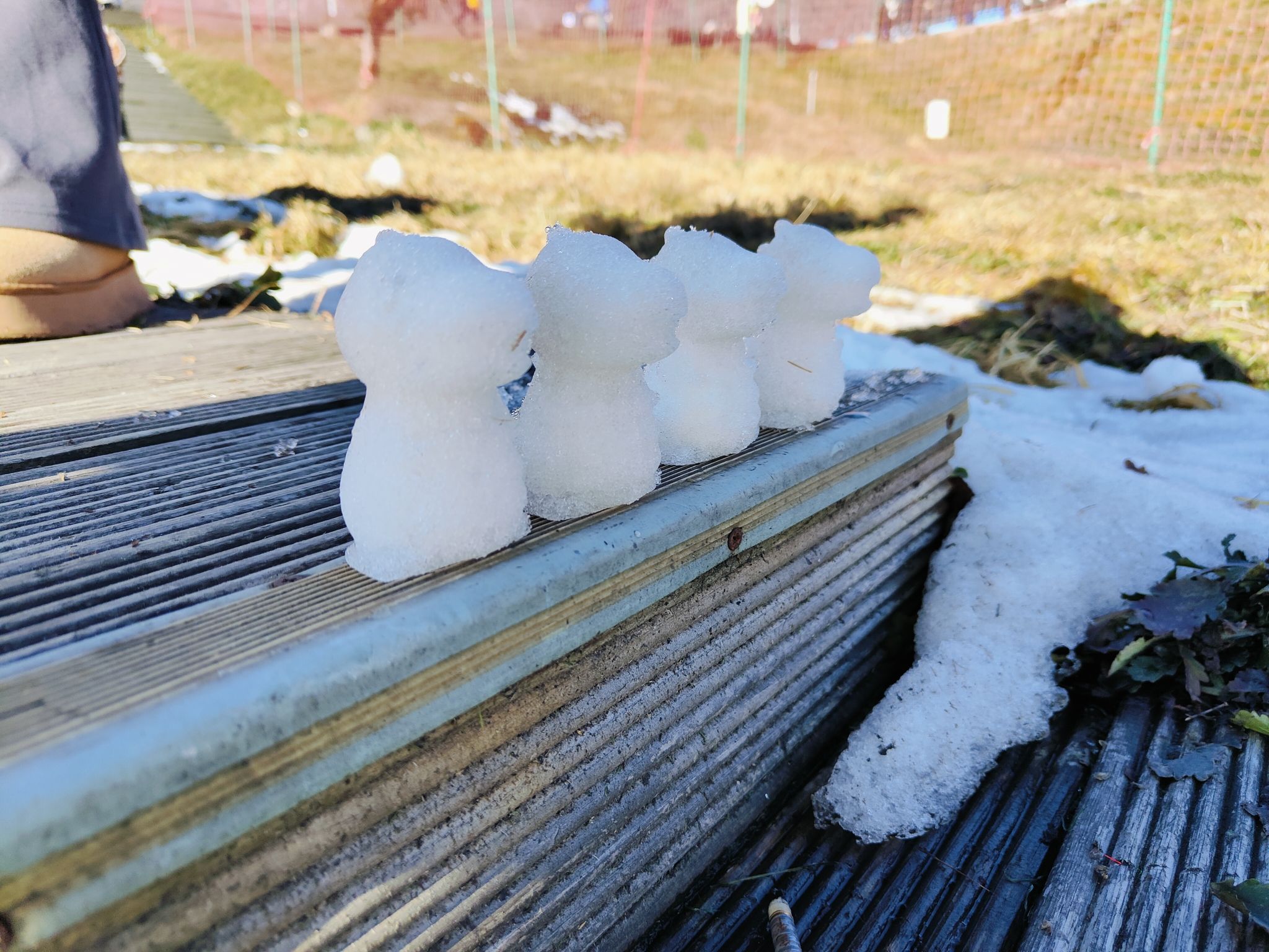西岭雪山风景名胜区旅行图片 1