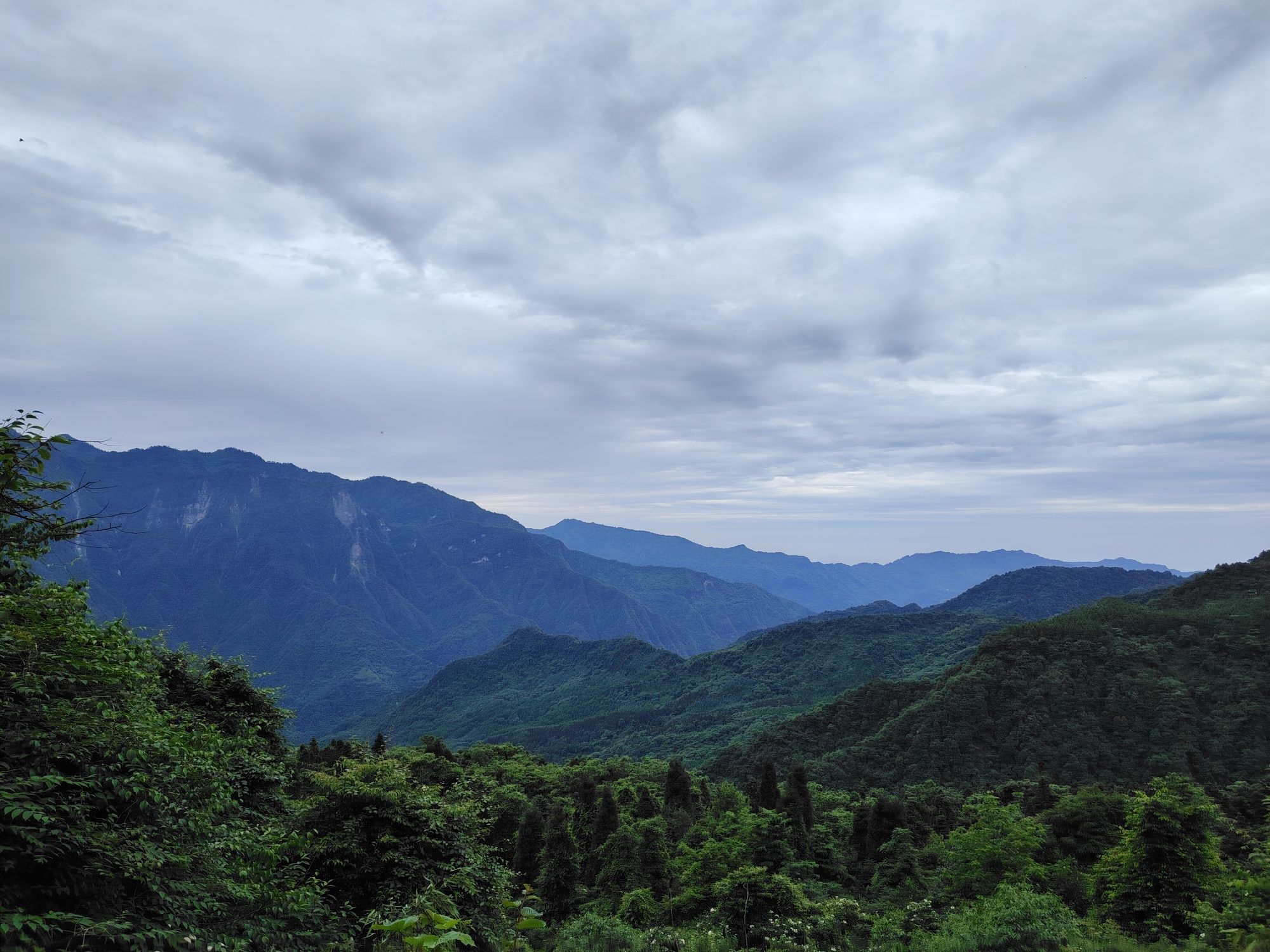 西岭雪山风景名胜区旅行图片 3