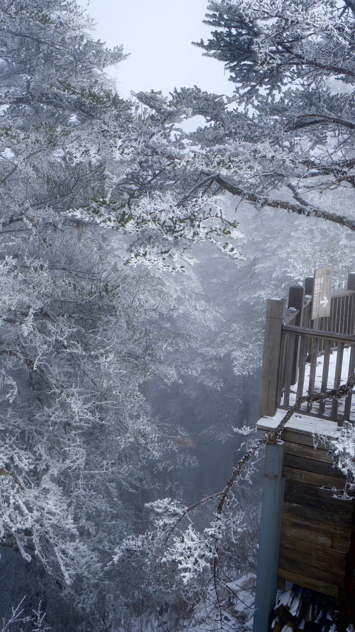 西岭雪山风景名胜区旅行图片 1