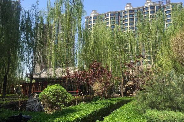 丽都公园旅行图片 2