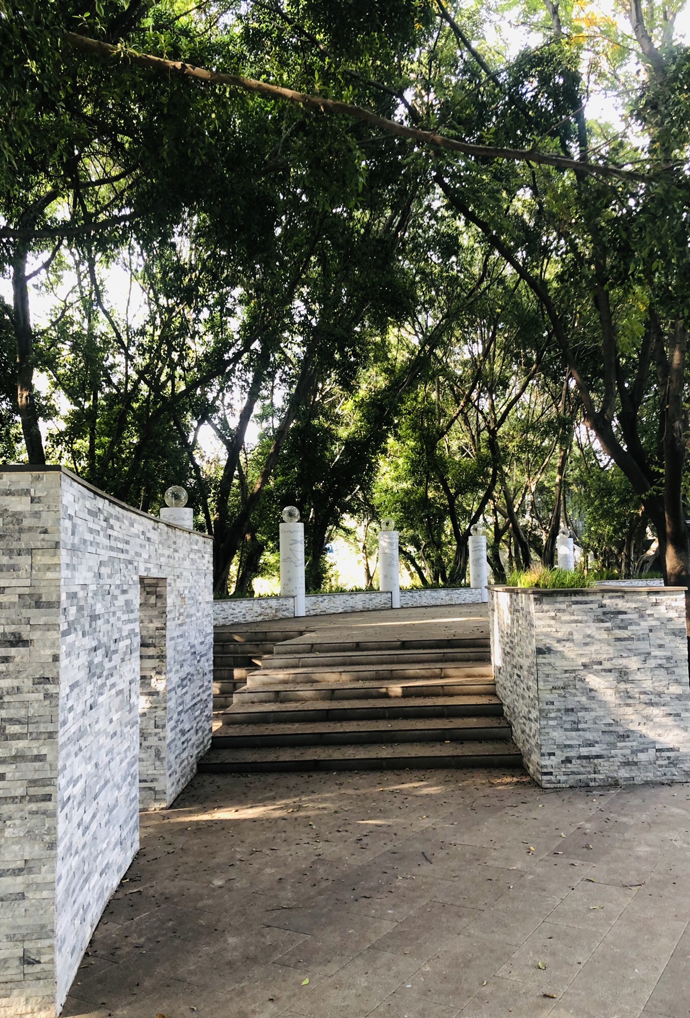 丽都公园旅行图片 3