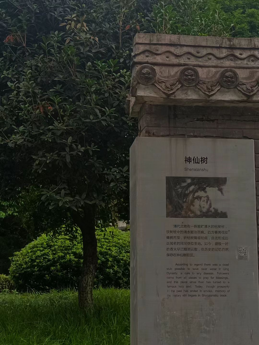 神仙树公园旅行图片 1