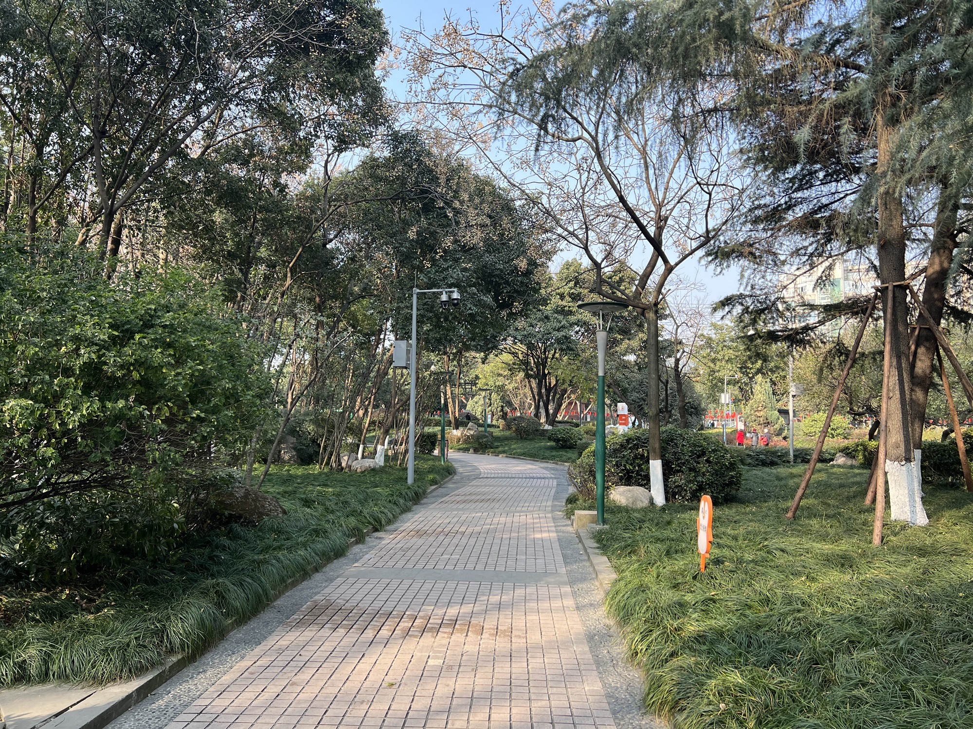 神仙树公园旅行图片 3