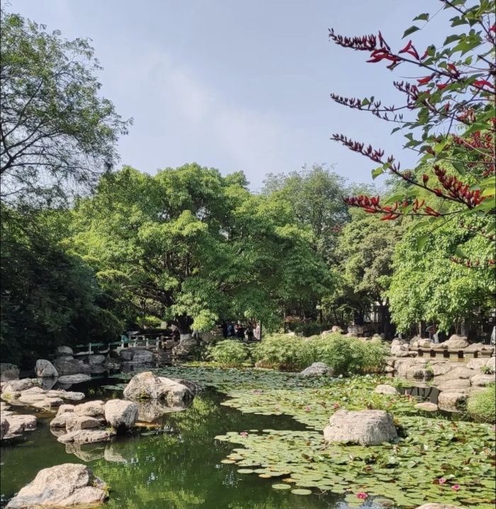 神仙树公园旅行图片 2