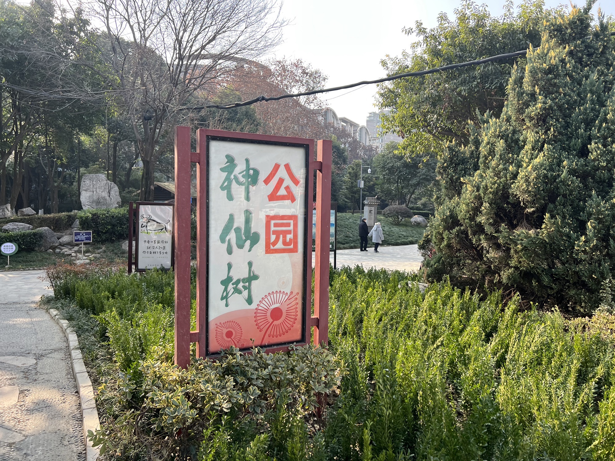 神仙树公园旅行图片 1