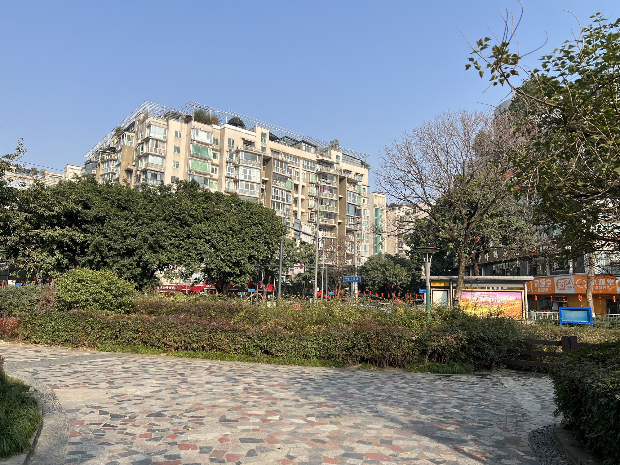 神仙树公园旅行图片 2