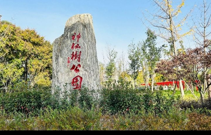 神仙树公园旅行图片 1