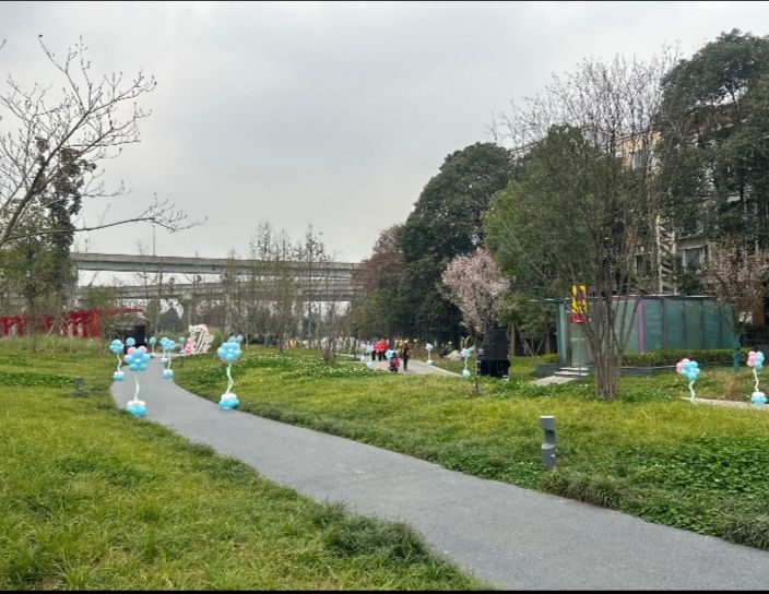 神仙树公园旅行图片 3